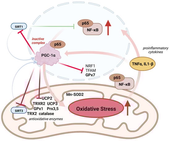 Antioxidants 12 01075 g004