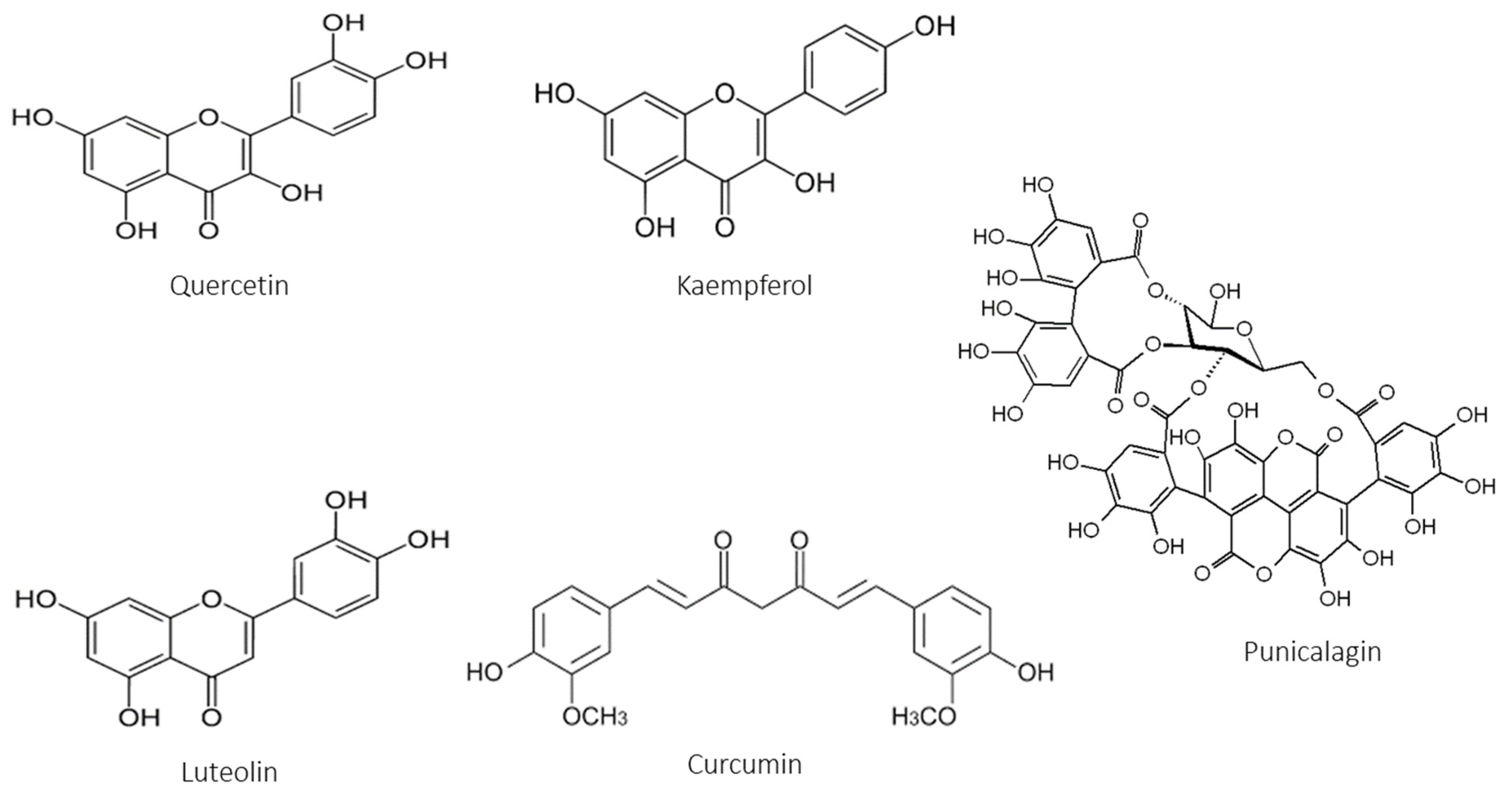 Antioxidants 12 01079 g002 Antioxidants 12 01079 g002