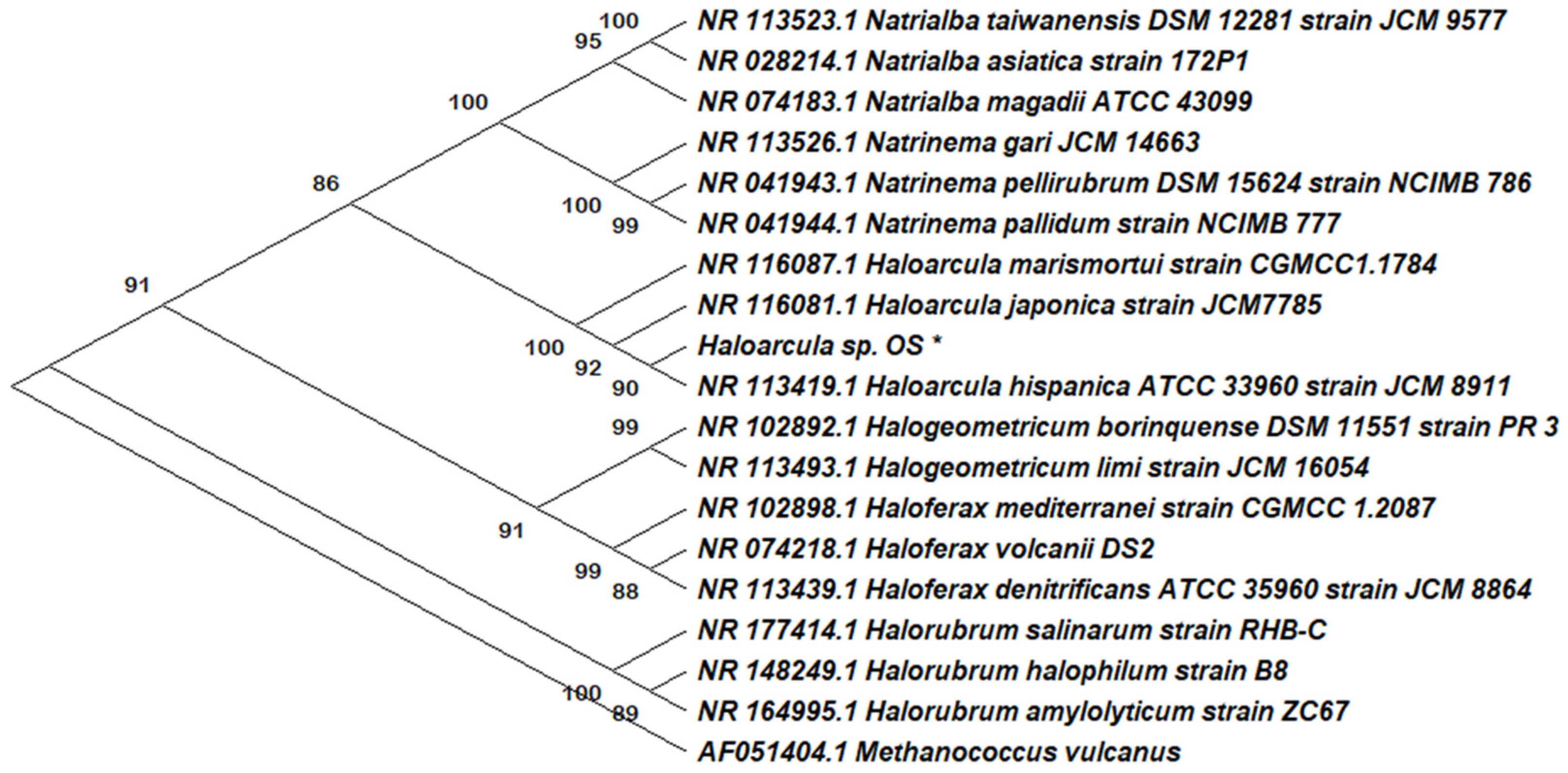 Antioxidants 12 01080 g001