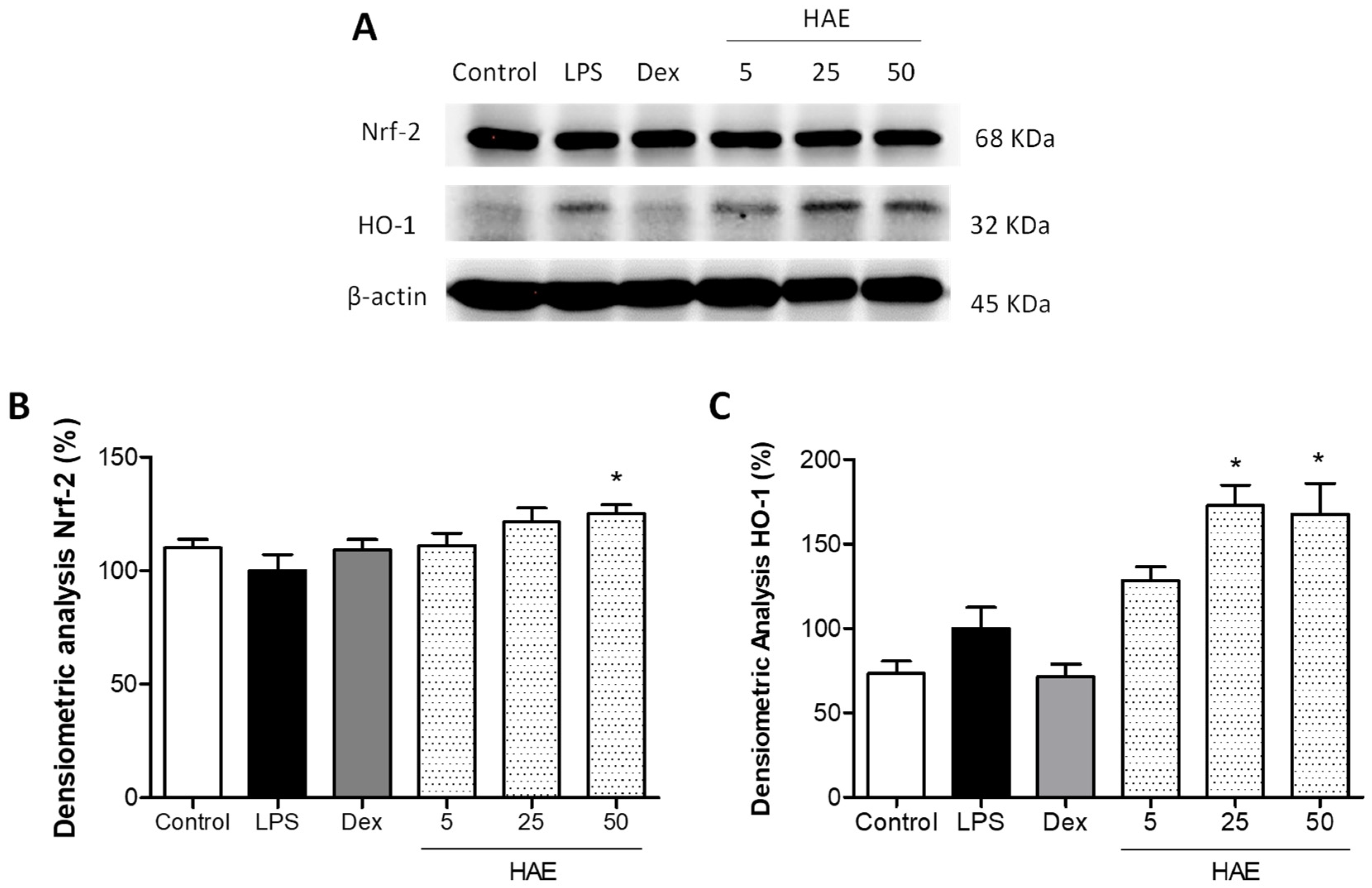 Antioxidants 12 01080 g006