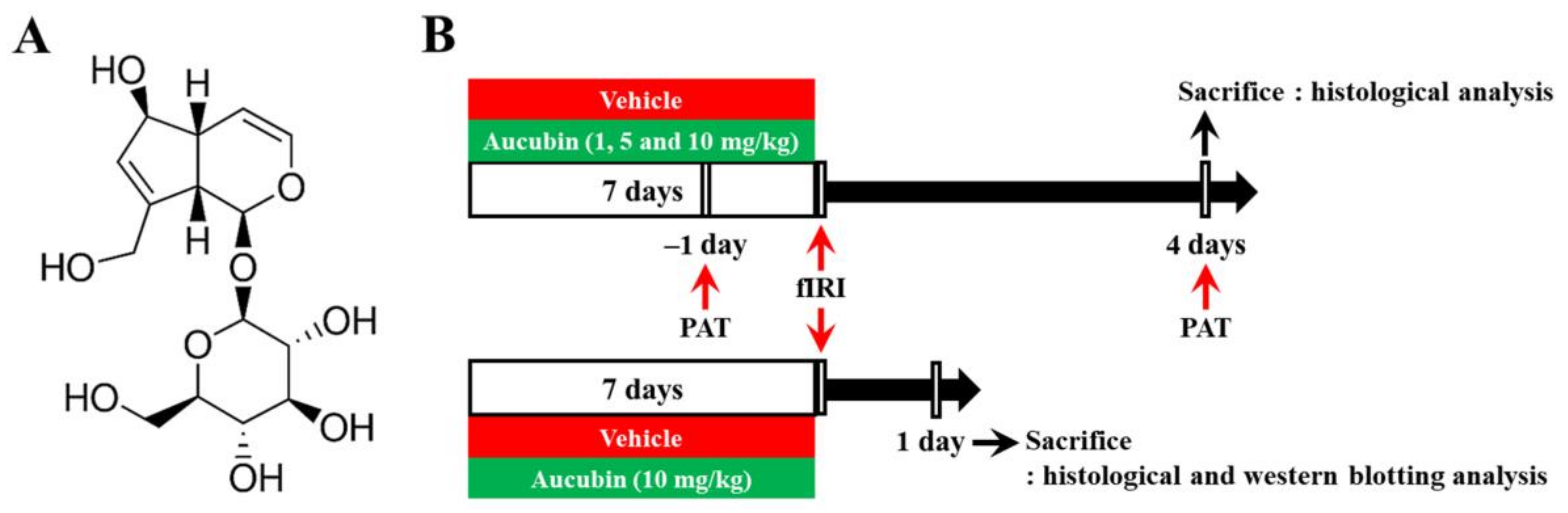 Antioxidants 12 01082 g001