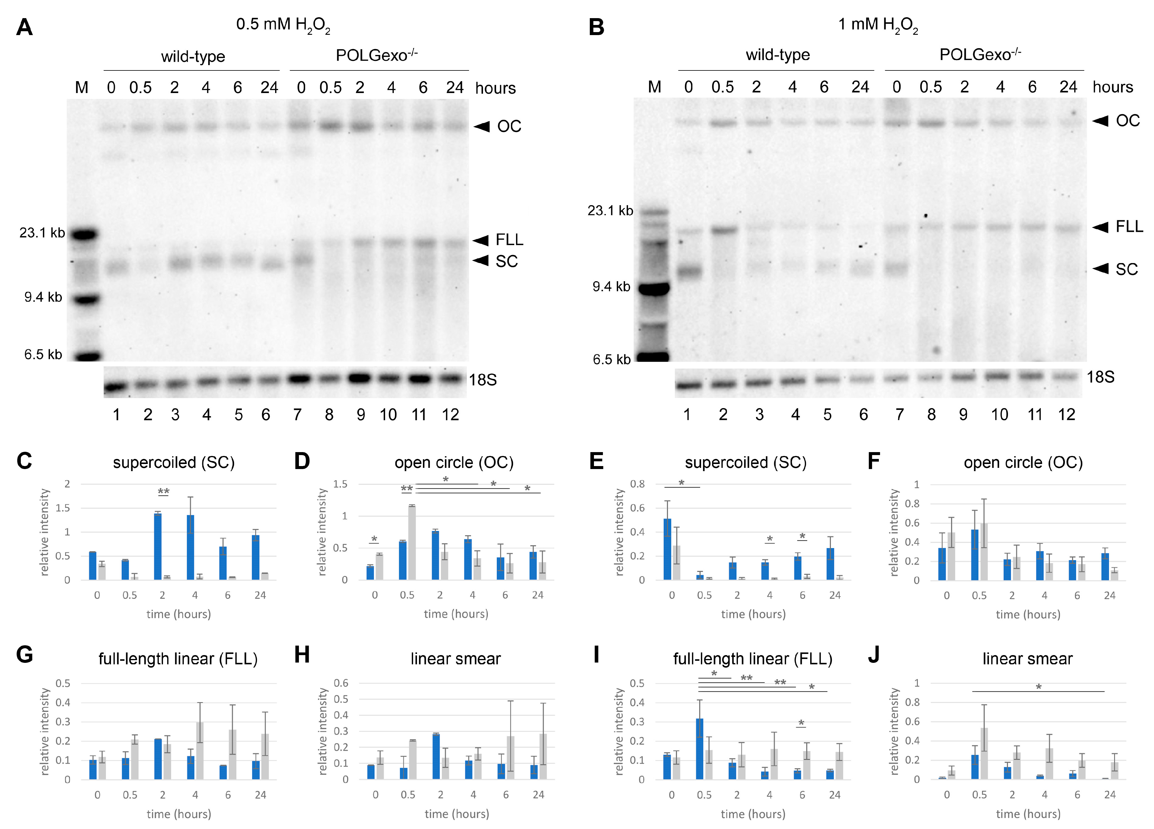 Antioxidants 12 01087 g001 Antioxidants 12 01087 g001