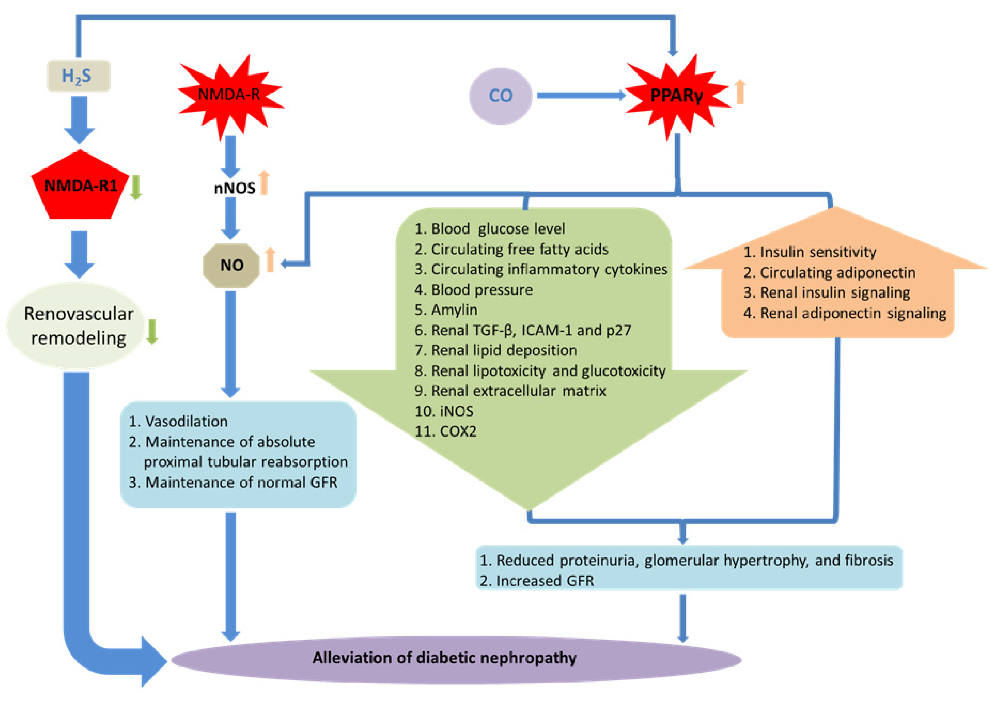 Antioxidants 12 01088 g002