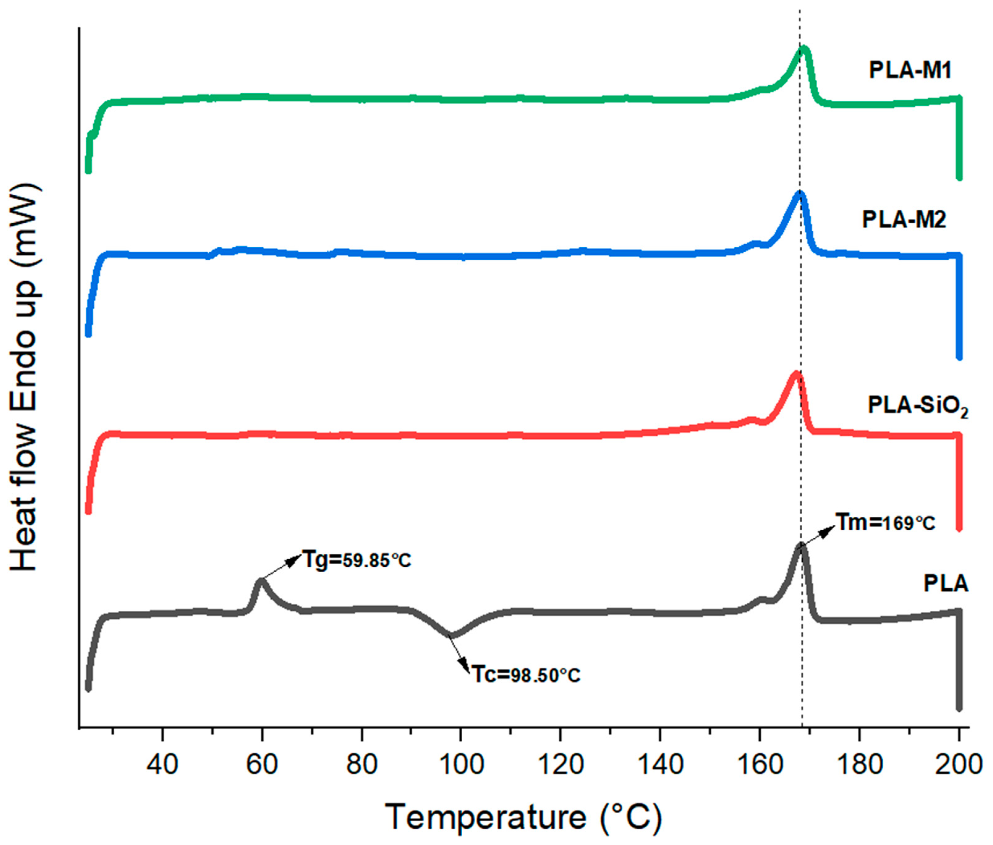 Antioxidants 12 01090 g012