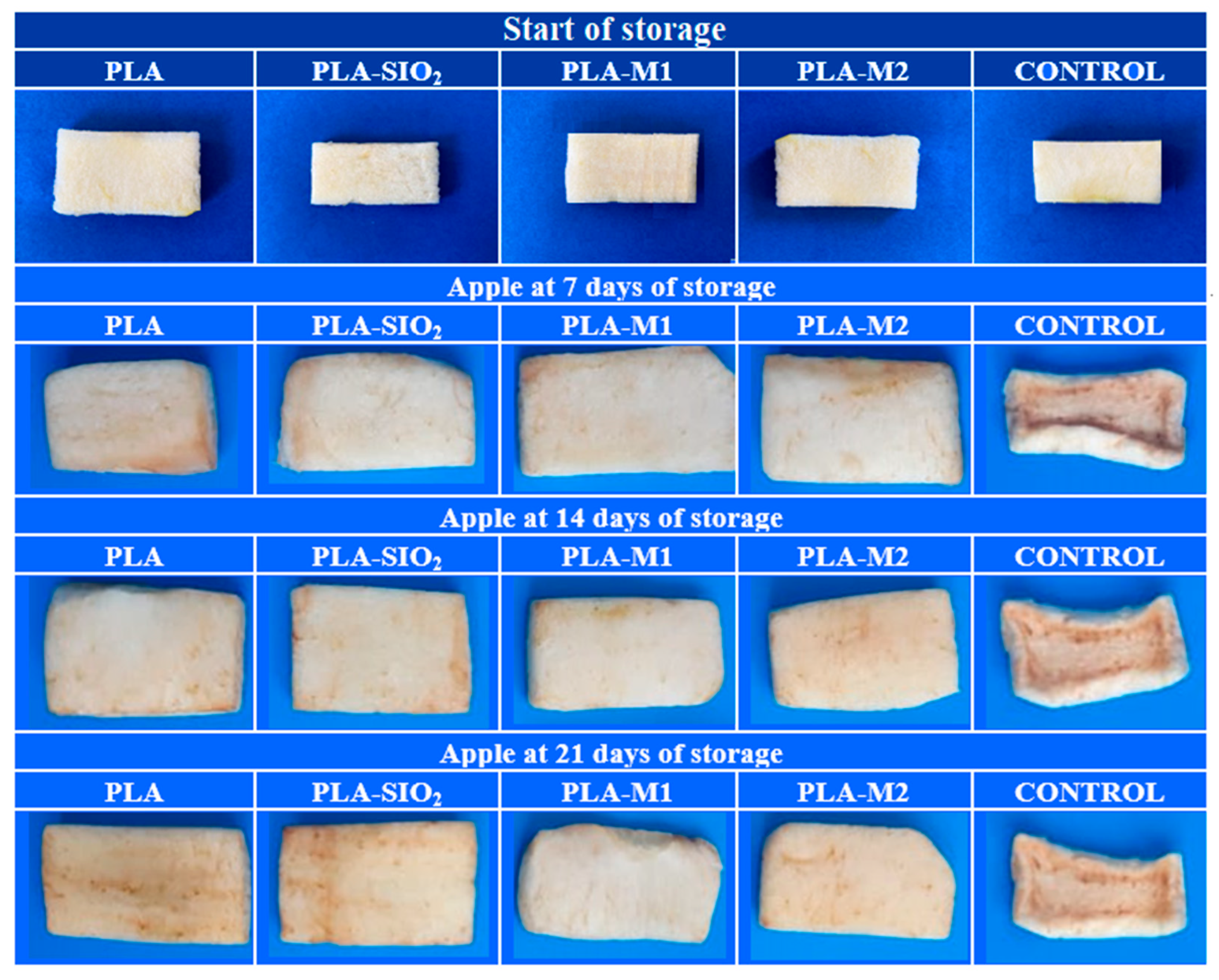 Antioxidants 12 01090 g014