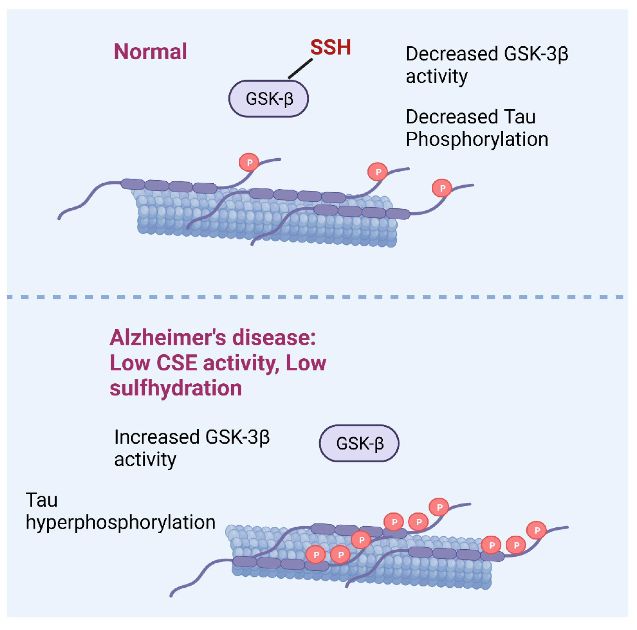 Antioxidants 12 01095 g002