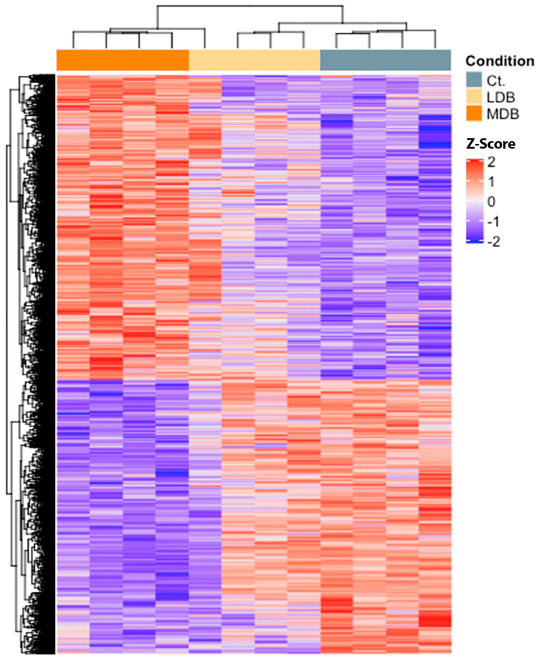 Antioxidants 12 01096 g001