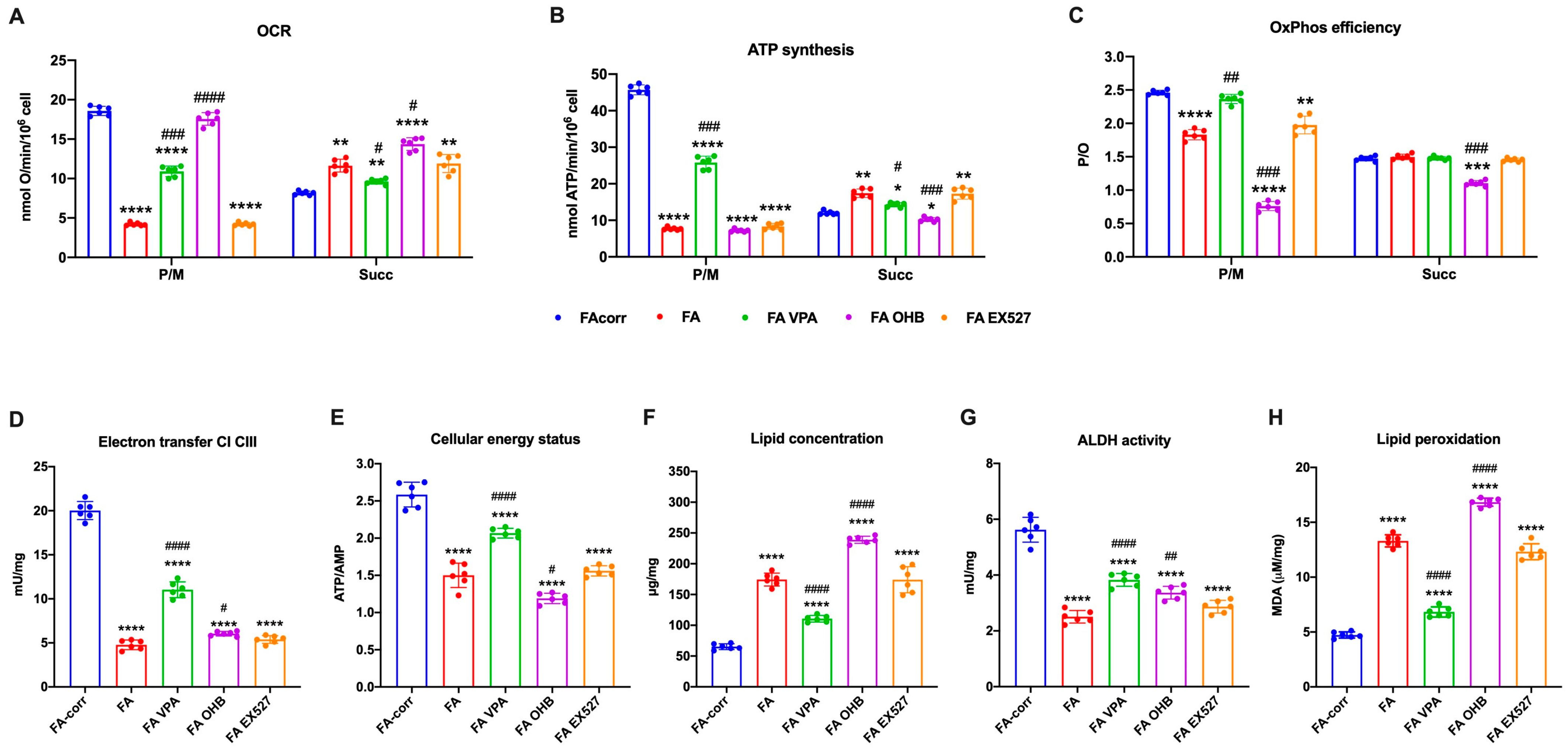 Antioxidants 12 01100 g002