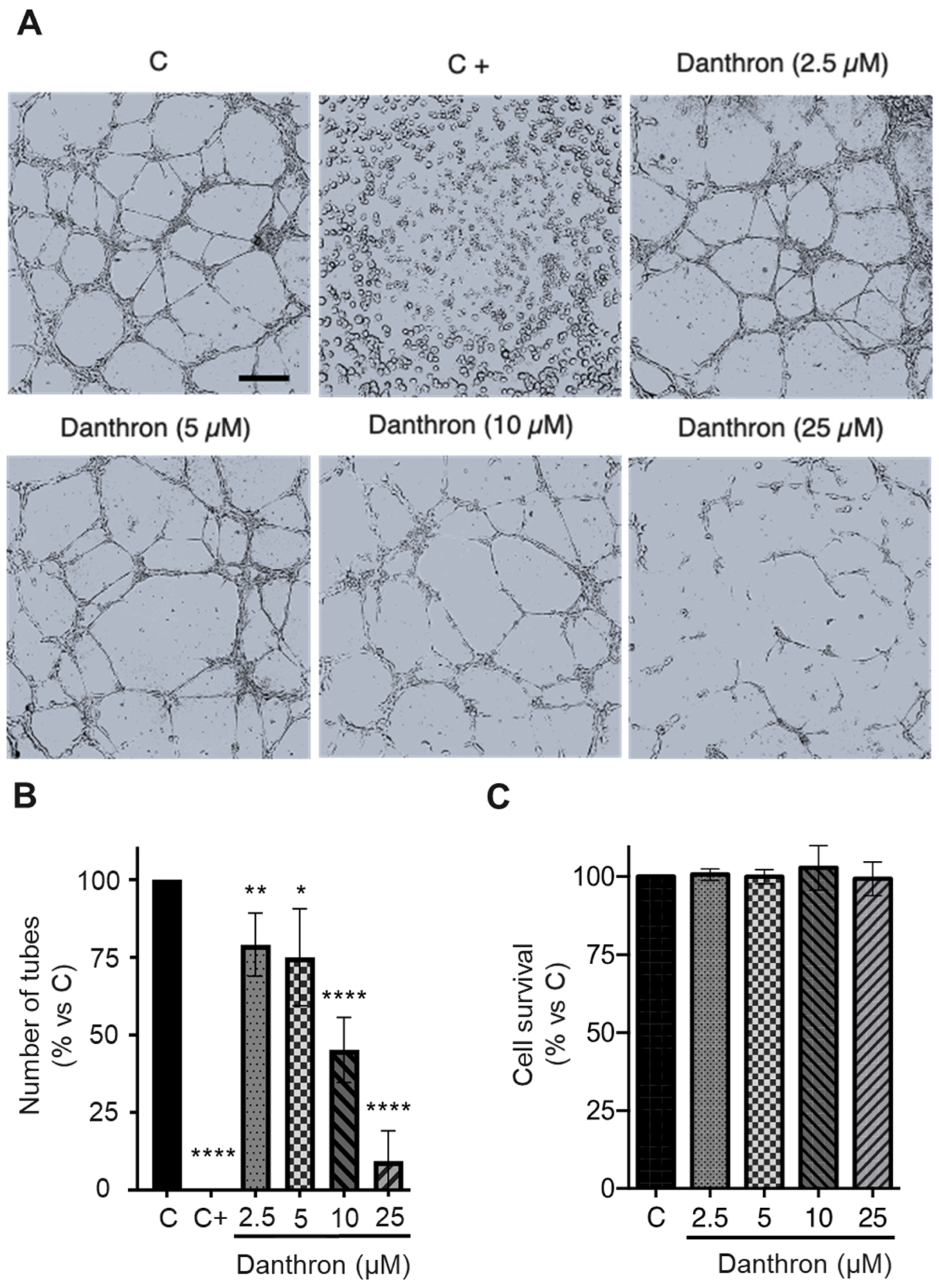 Antioxidants 12 01101 g002