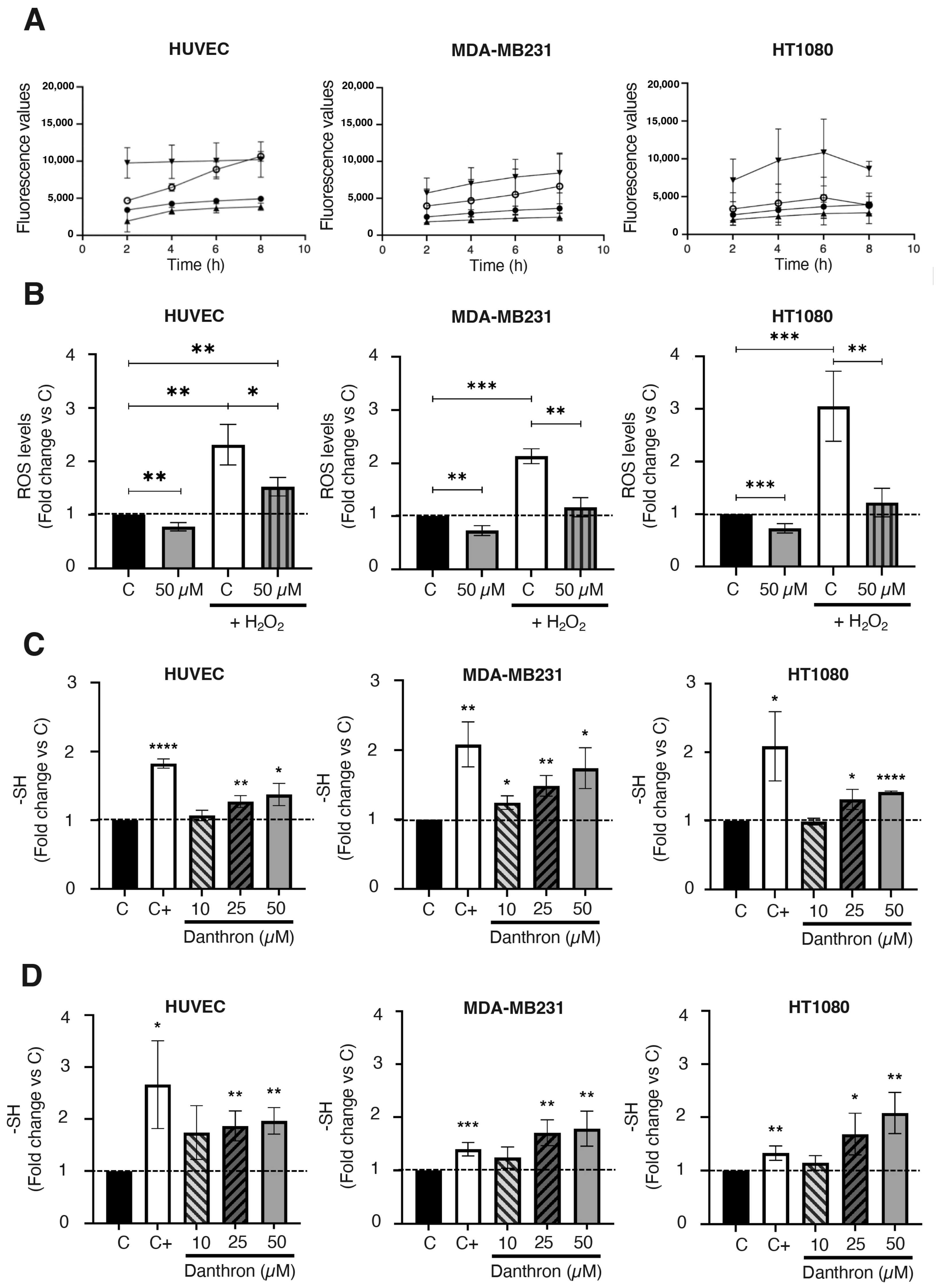 Antioxidants 12 01101 g006