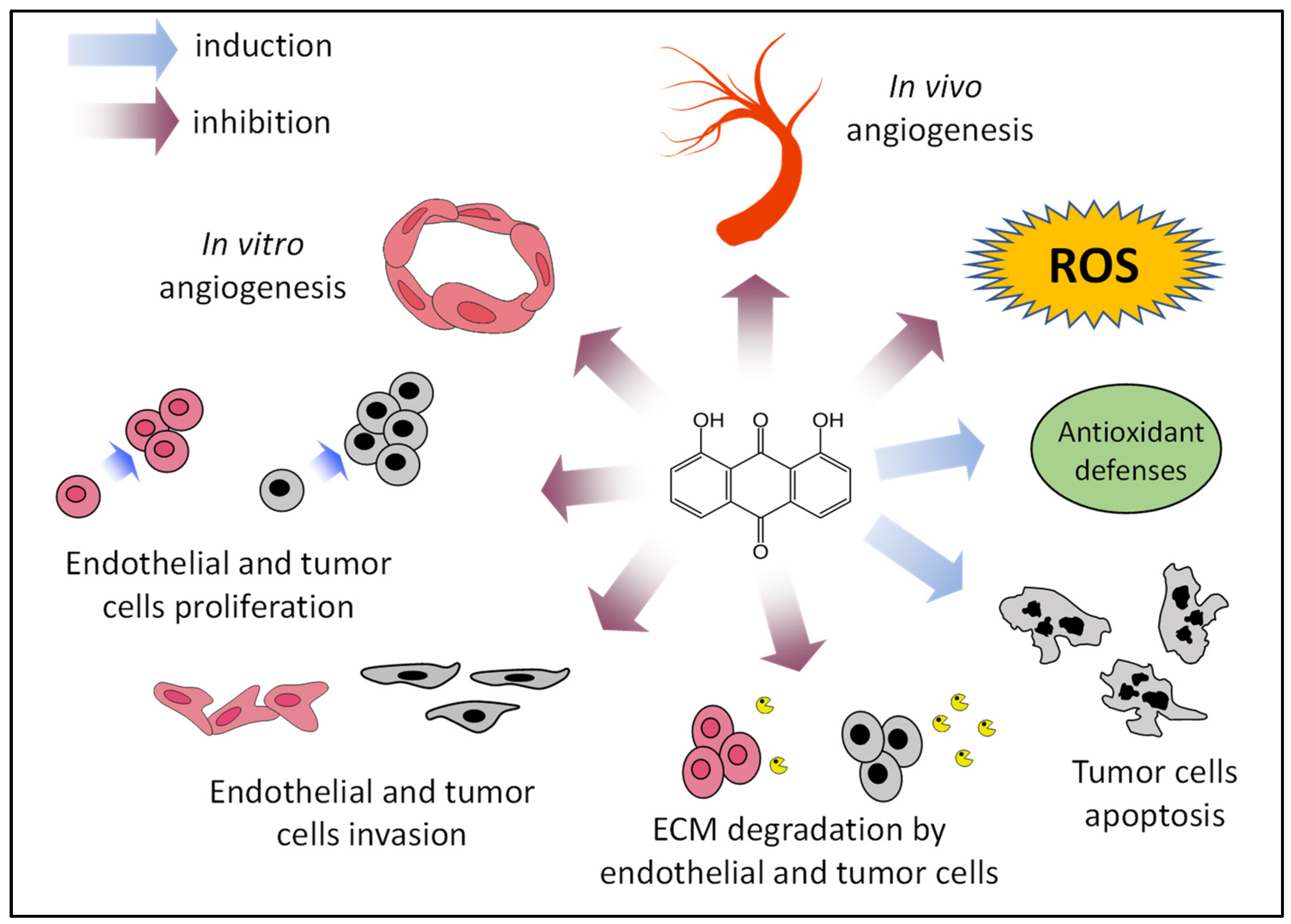 Antioxidants 12 01101 g007