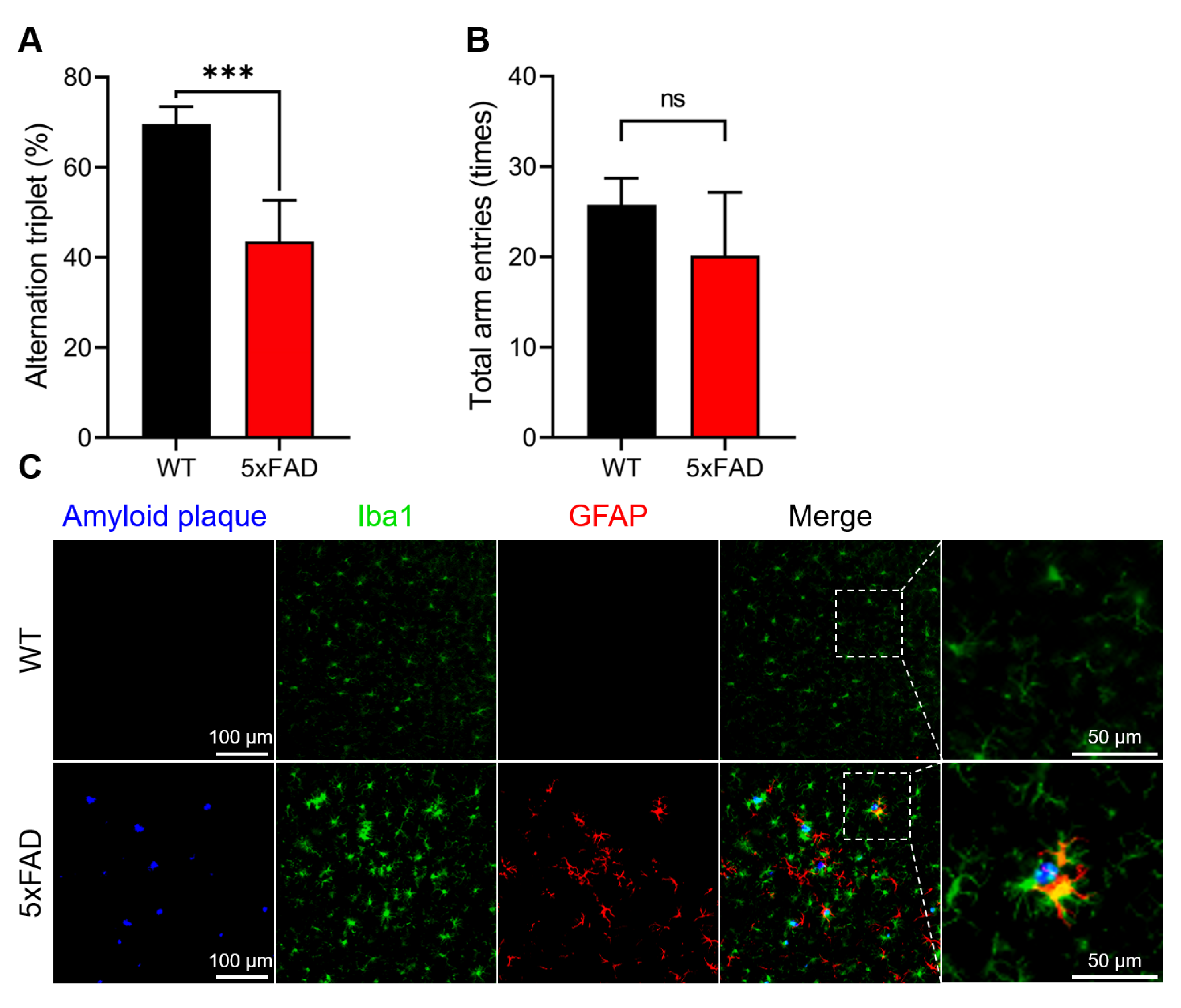 Antioxidants 12 01105 g001 Antioxidants 12 01105 g001