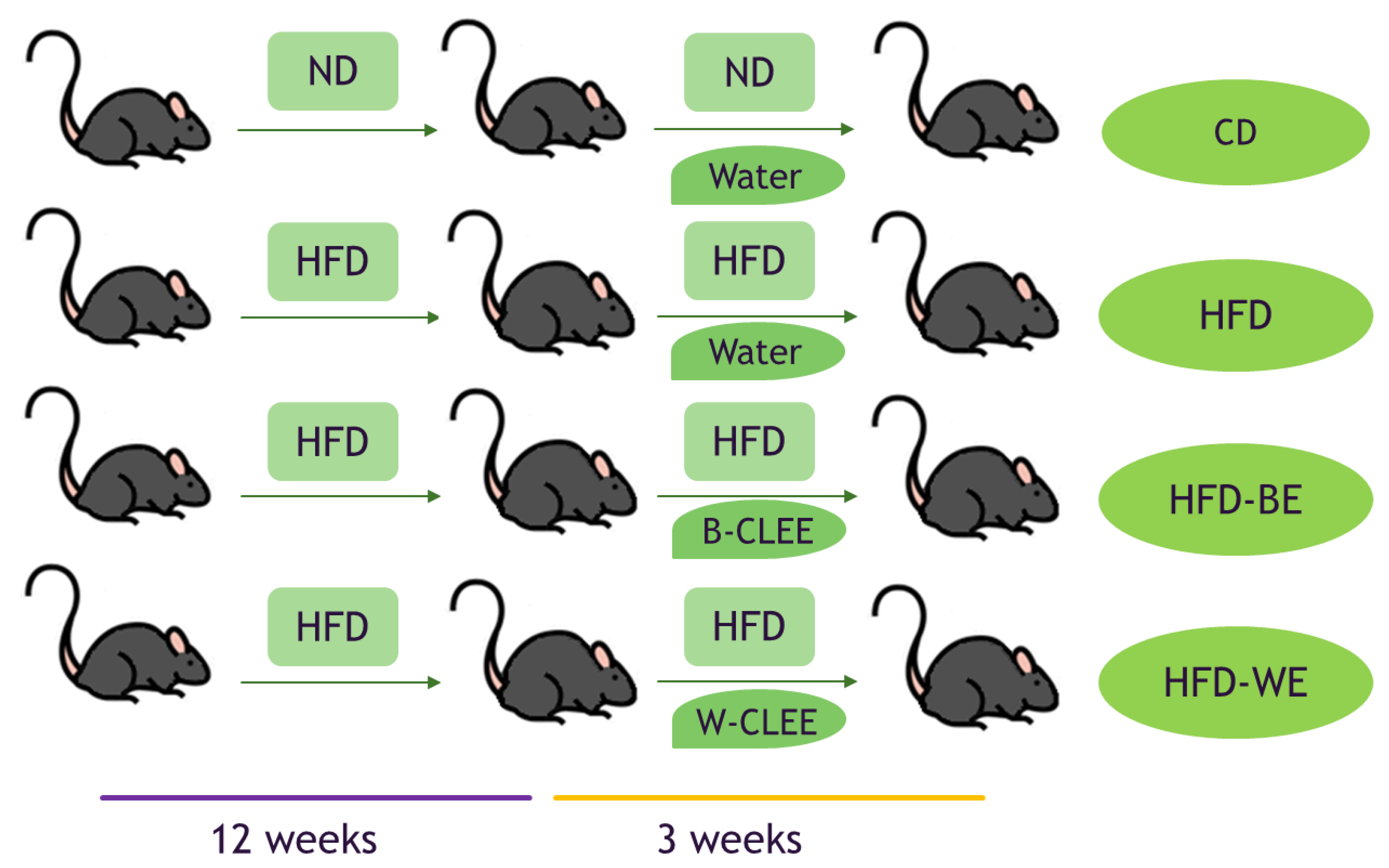 Antioxidants 12 01108 g001