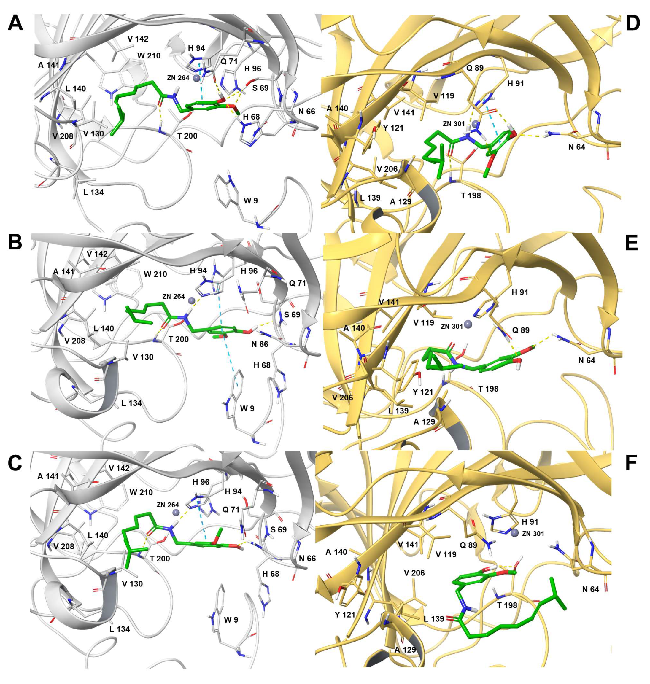 Antioxidants 12 01115 g002