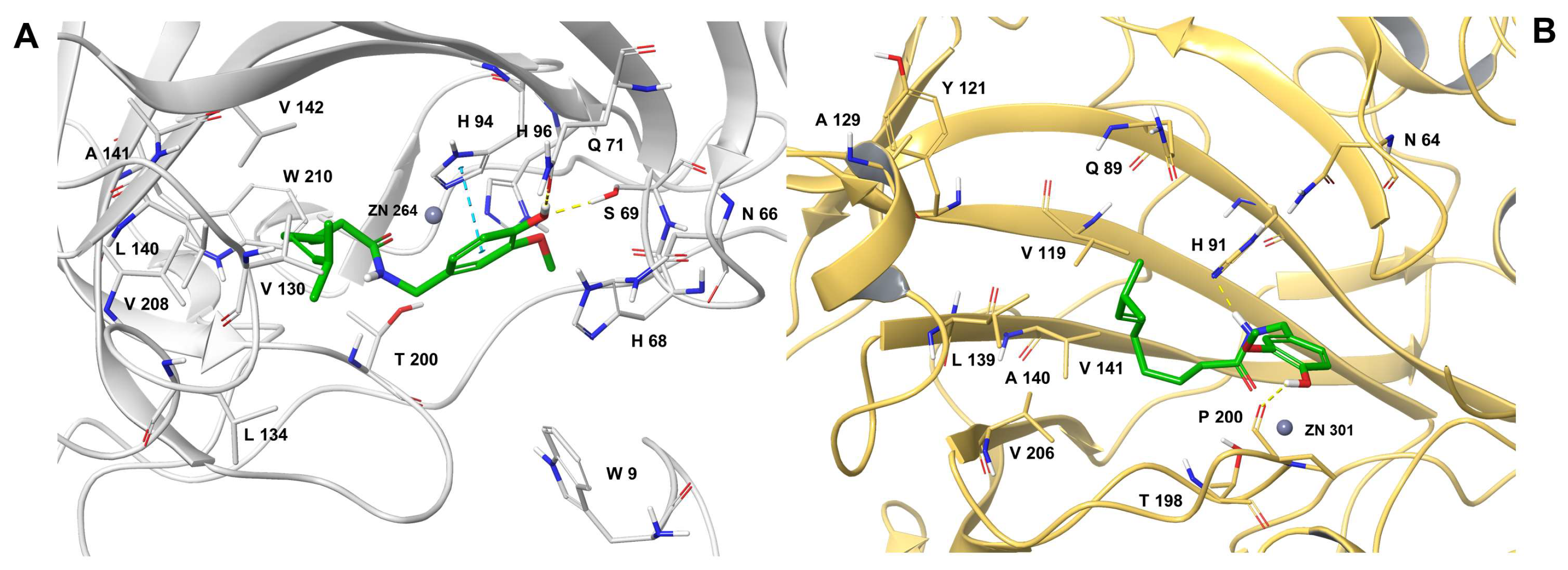 Antioxidants 12 01115 g003