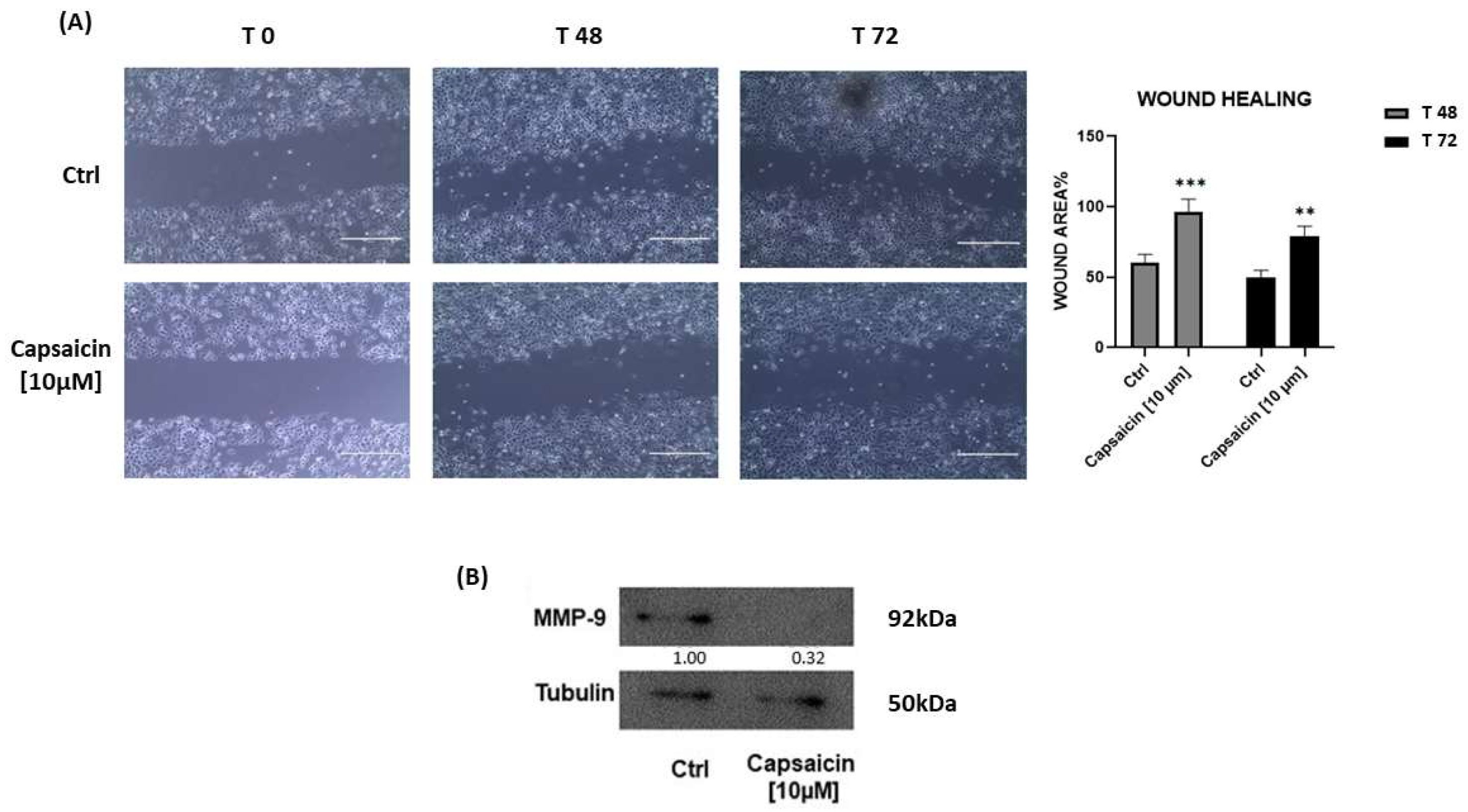 Antioxidants 12 01115 g005