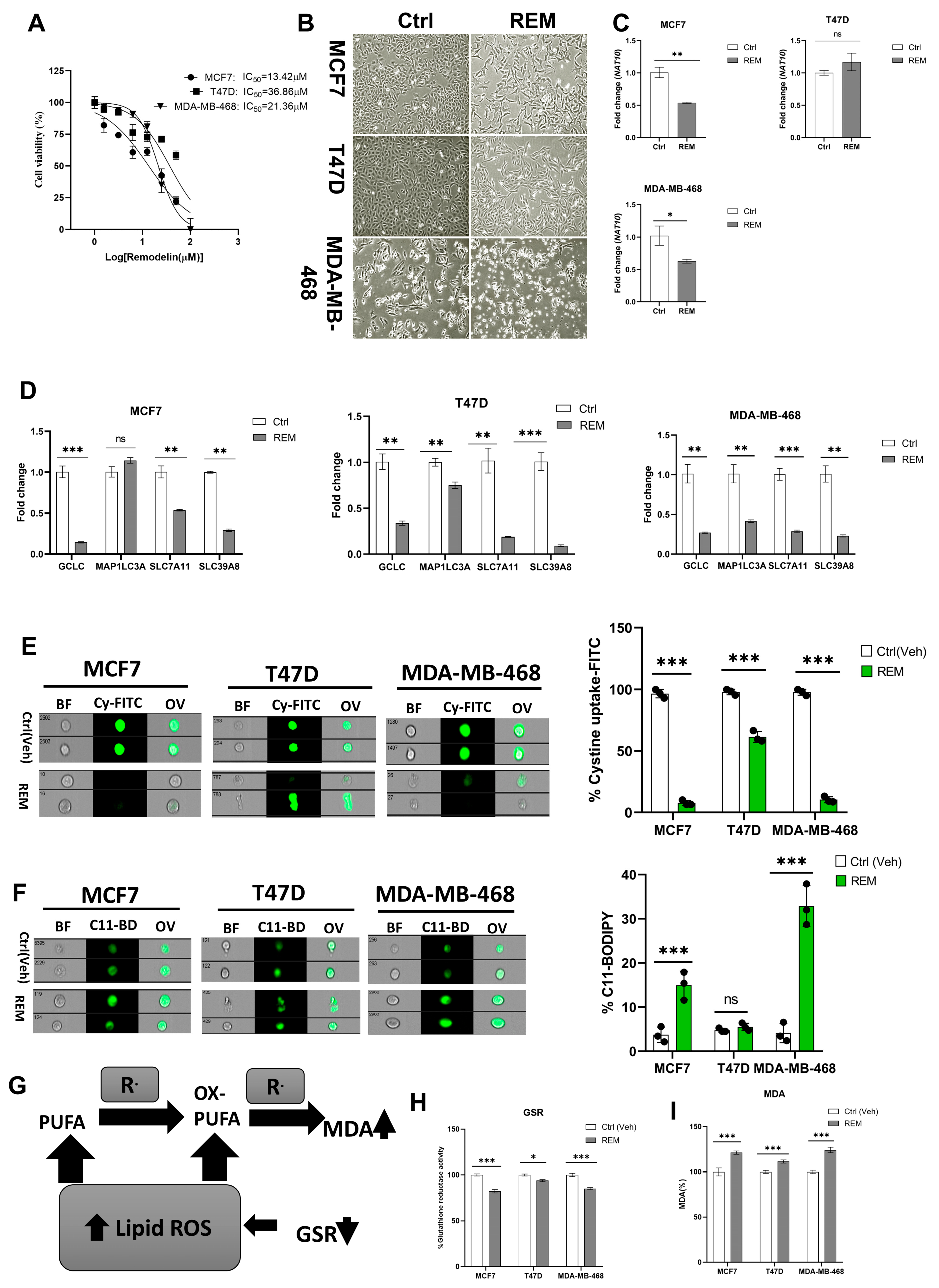 Antioxidants 12 01116 g005