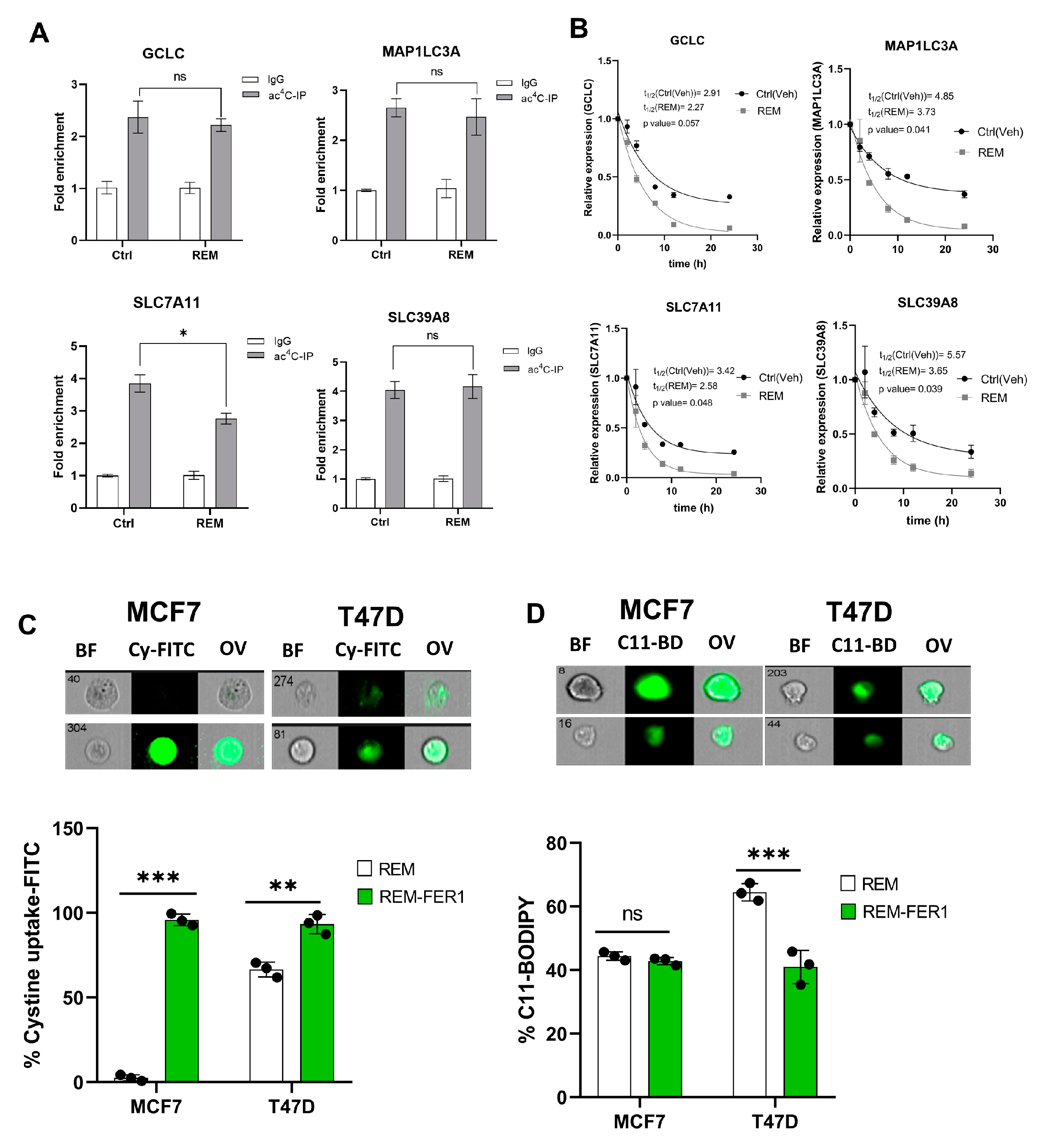 Antioxidants 12 01116 g007