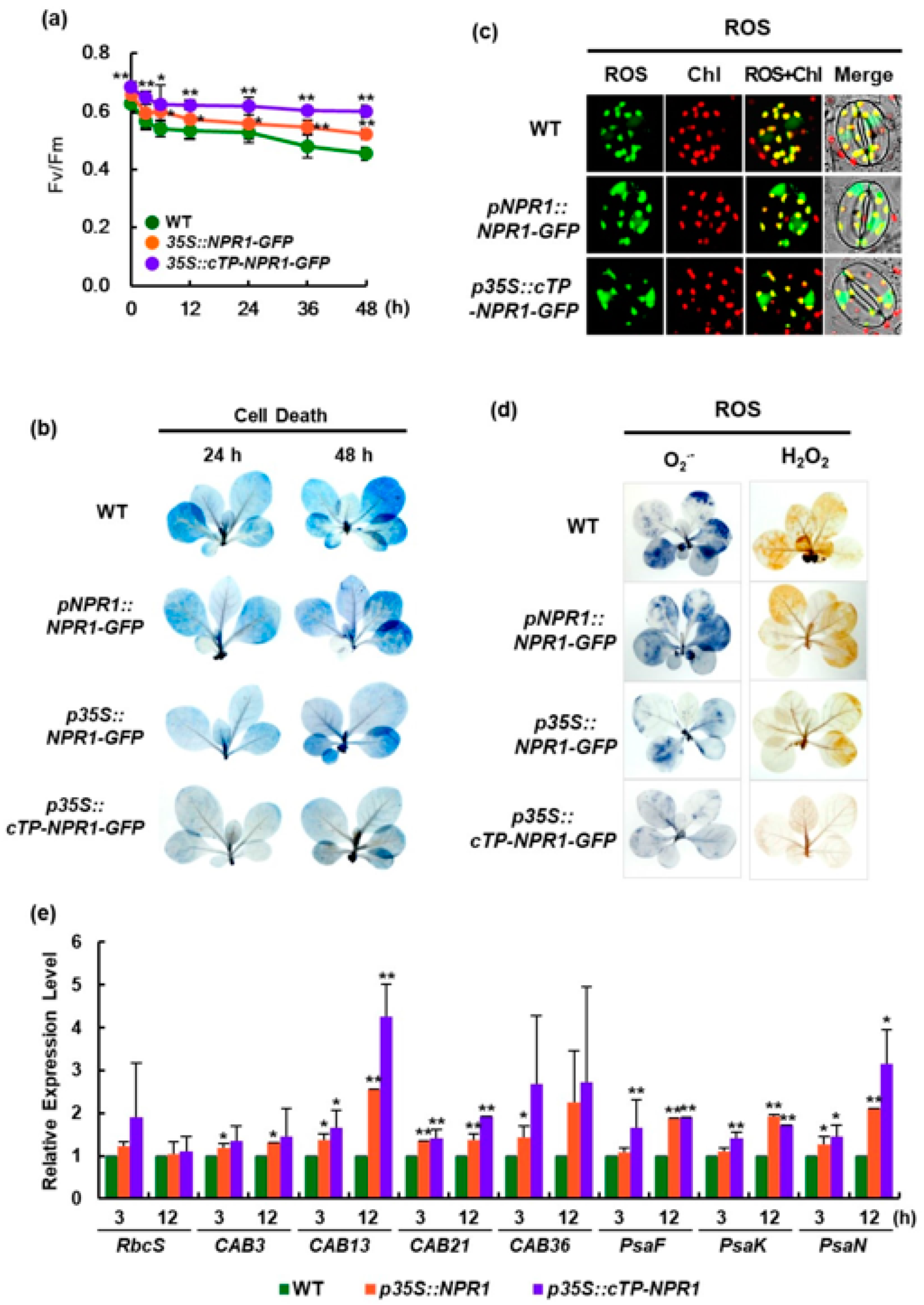 Antioxidants 12 01118 g005