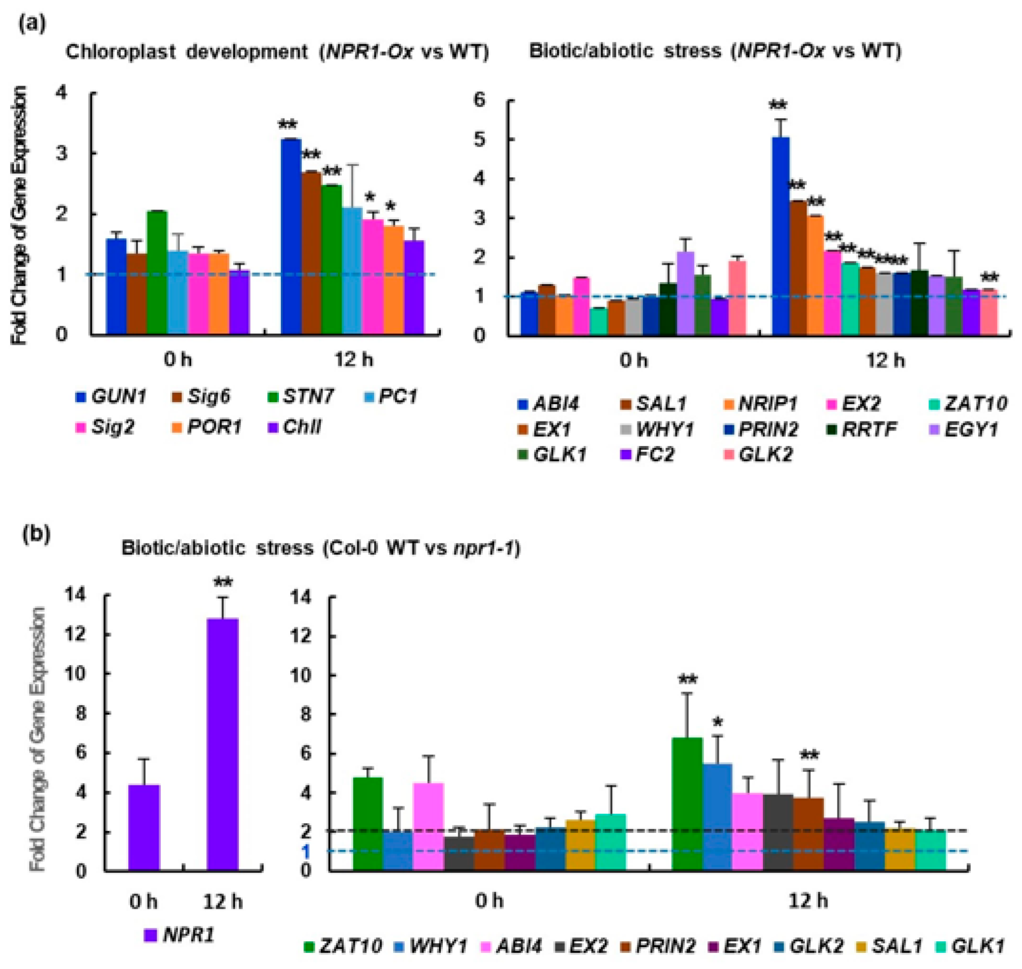 Antioxidants 12 01118 g007