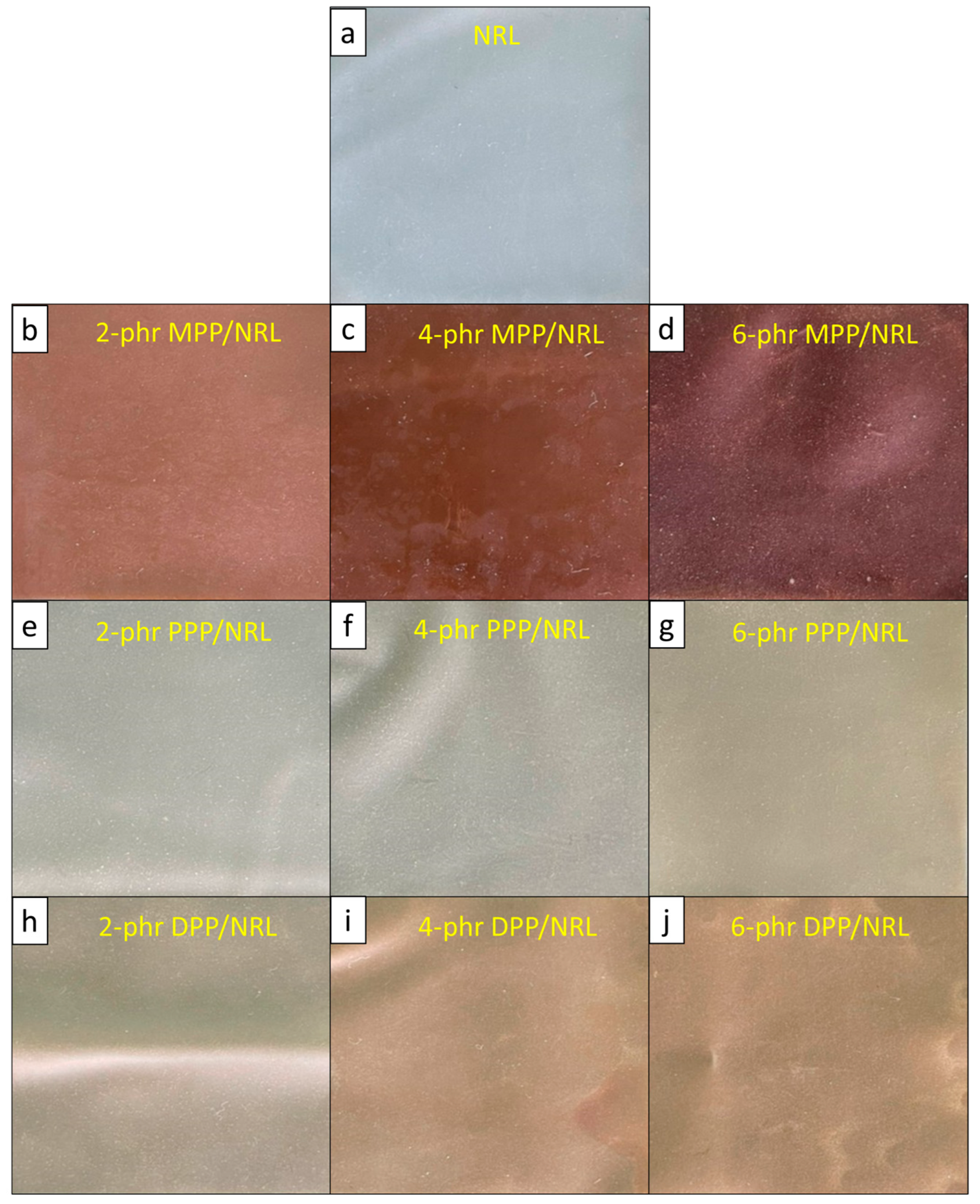 Antioxidants 12 01119 g005