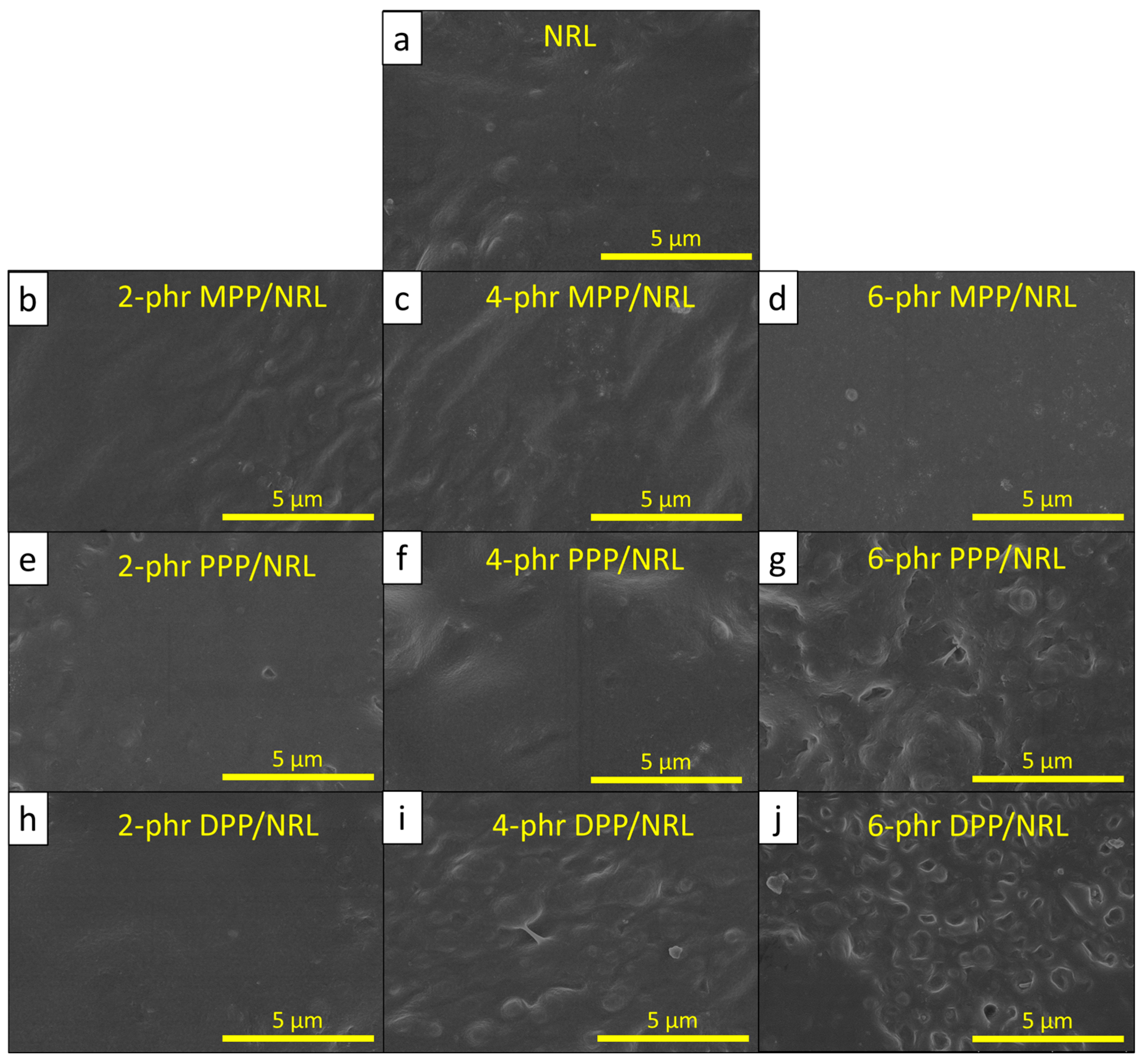 Antioxidants 12 01119 g008