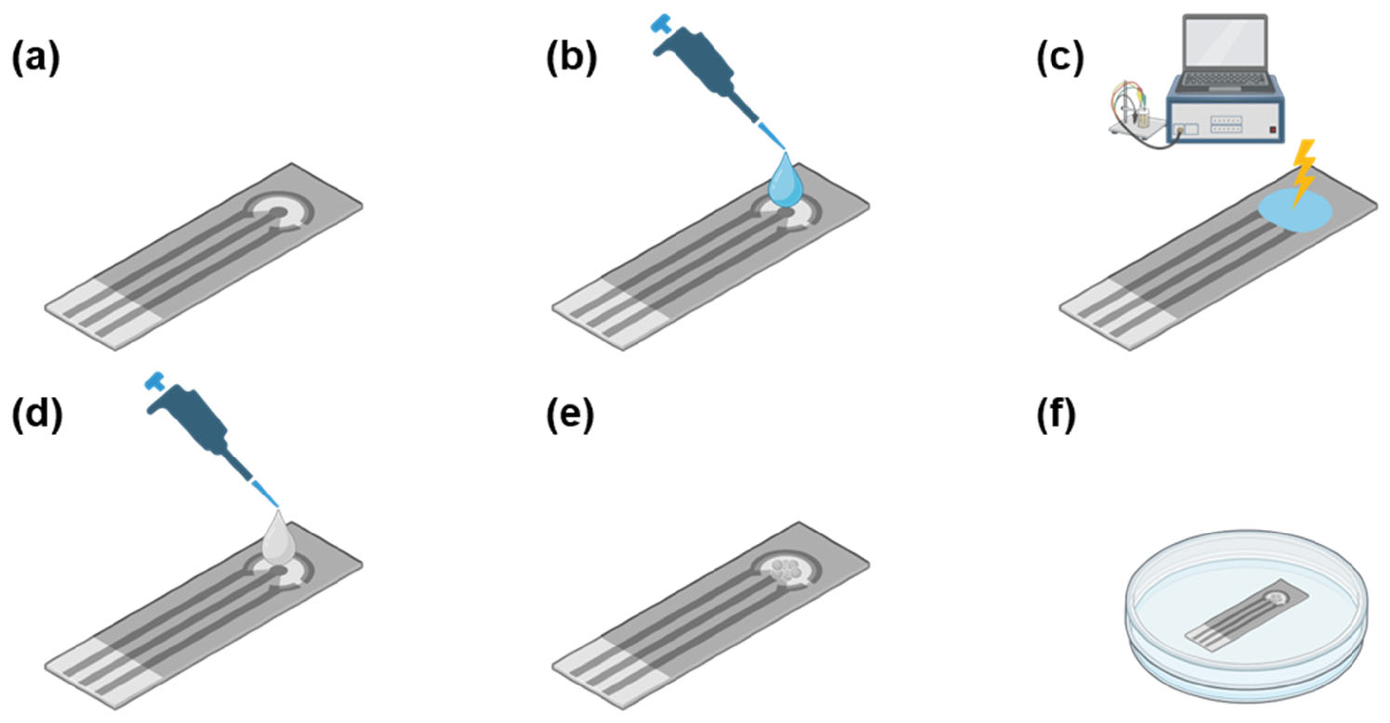 Antioxidants 12 01120 g001