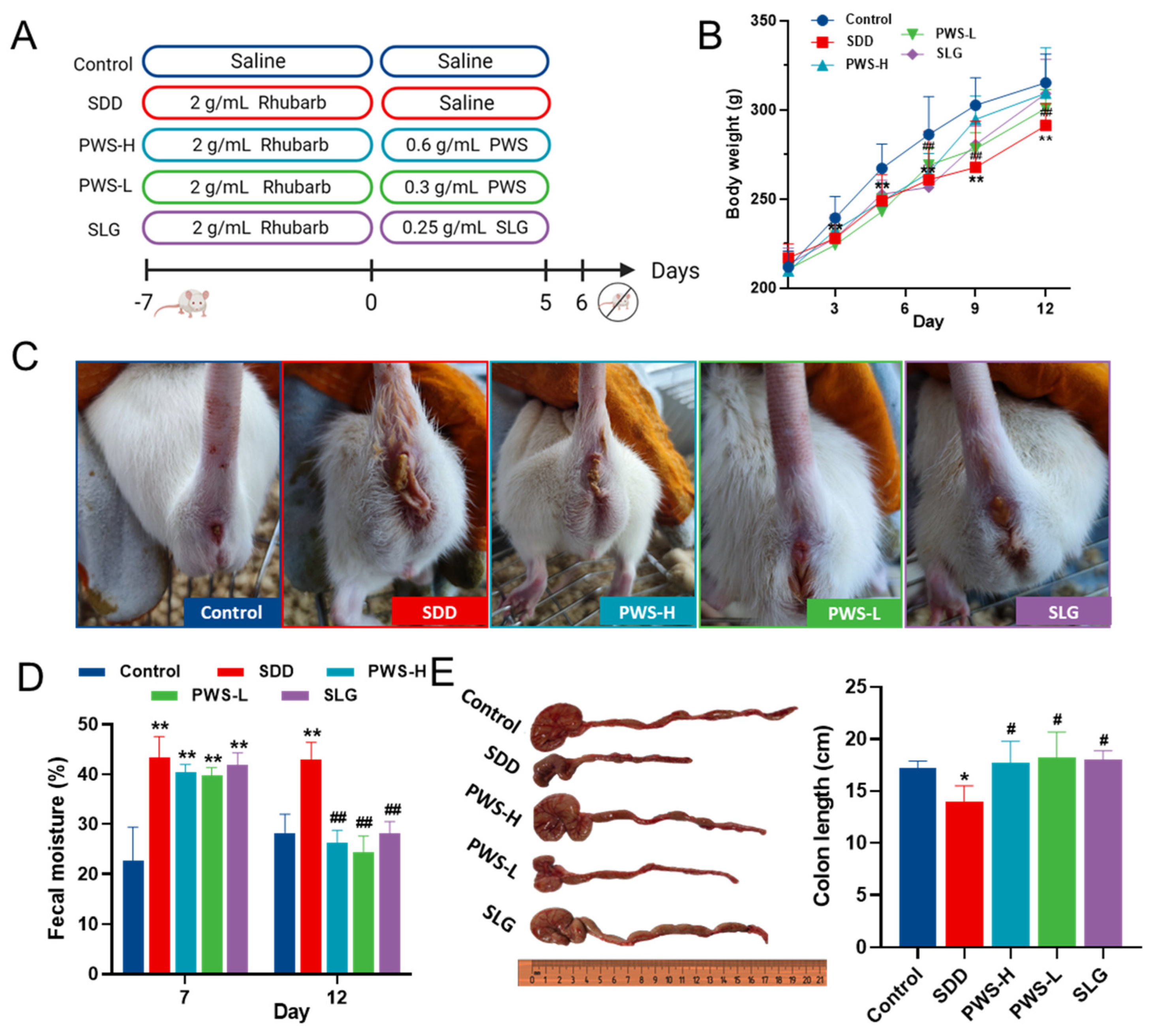 Antioxidants 12 01122 g002 Antioxidants 12 01122 g002