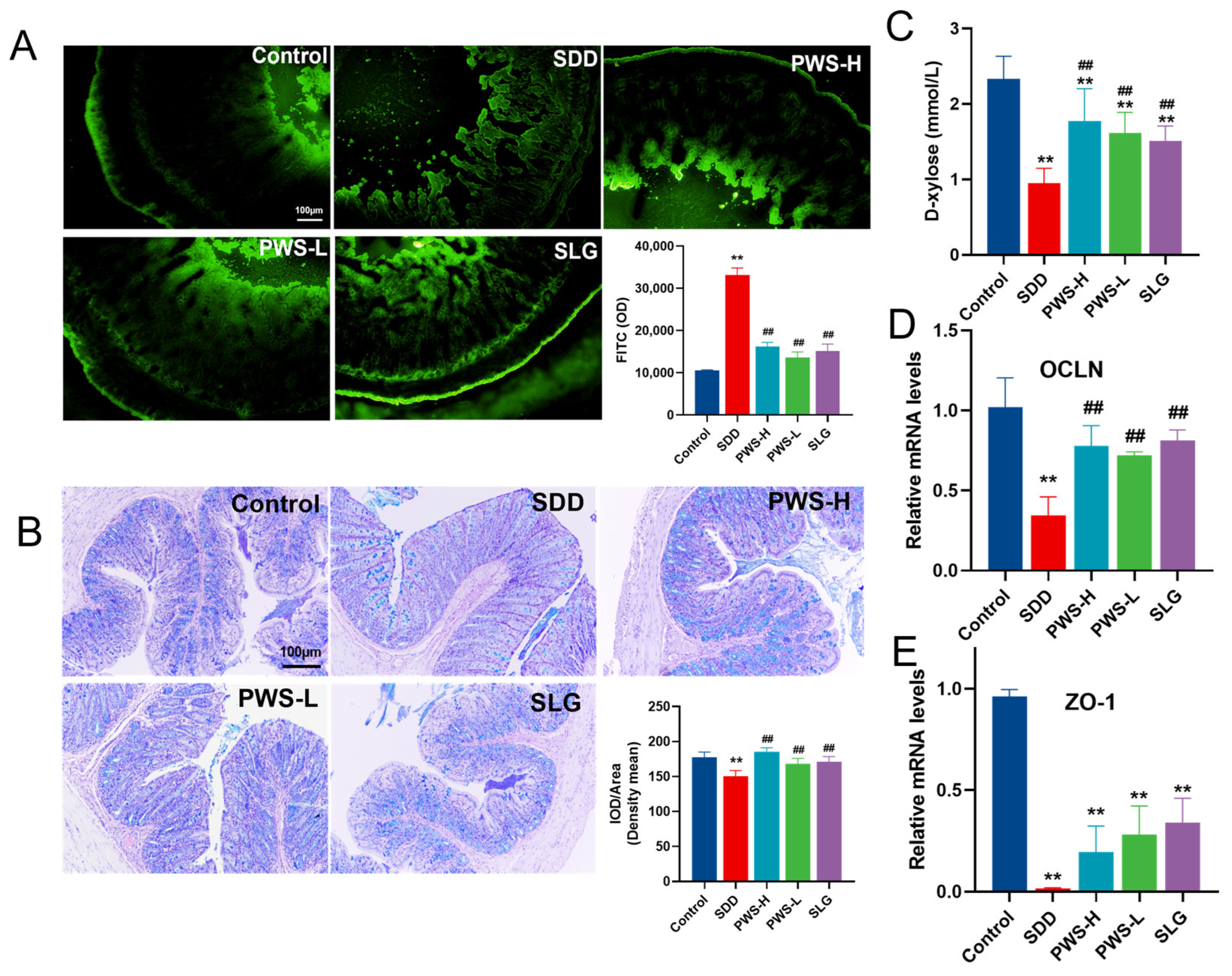 Antioxidants 12 01122 g006 Antioxidants 12 01122 g006