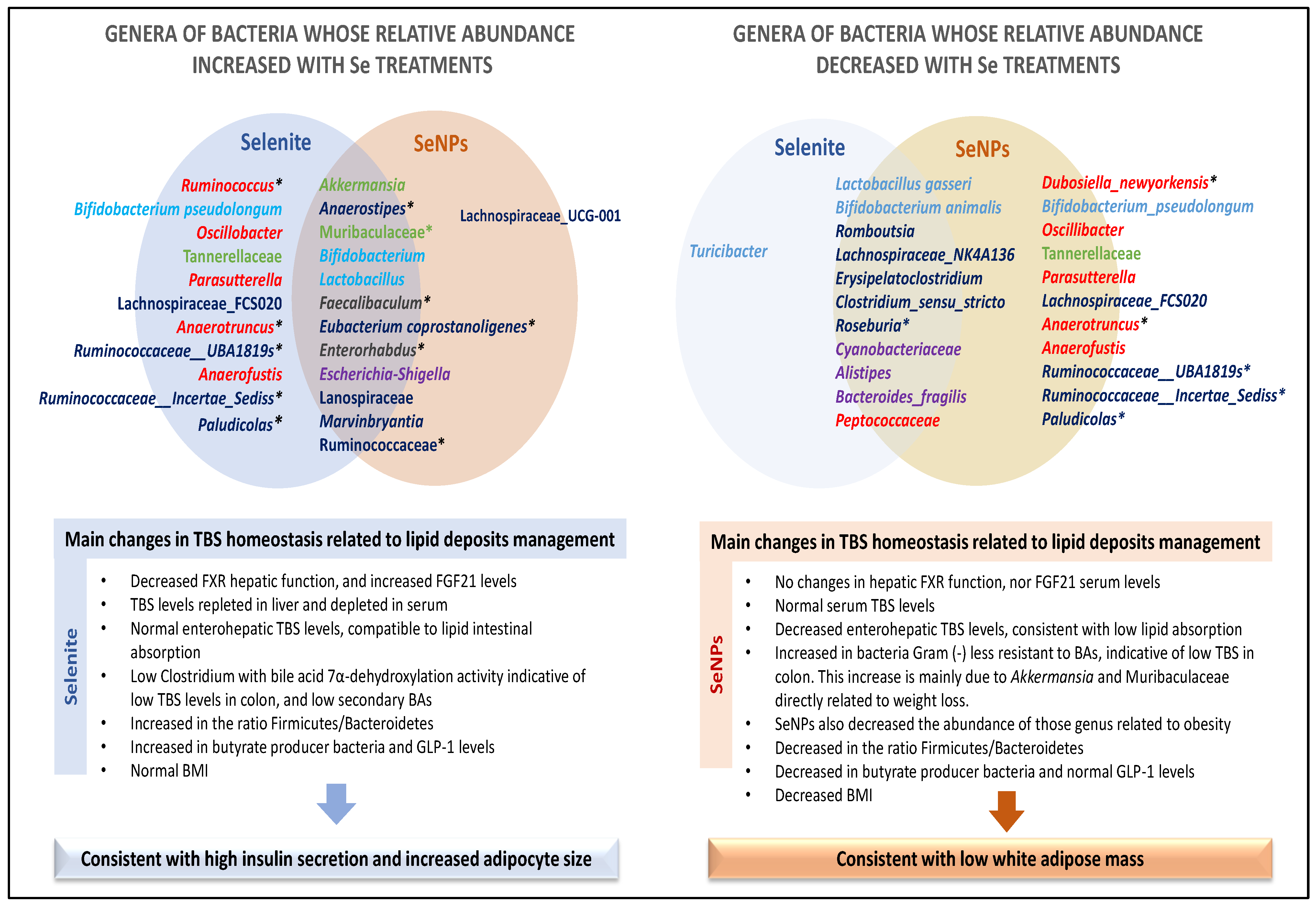 Antioxidants 12 01123 g005