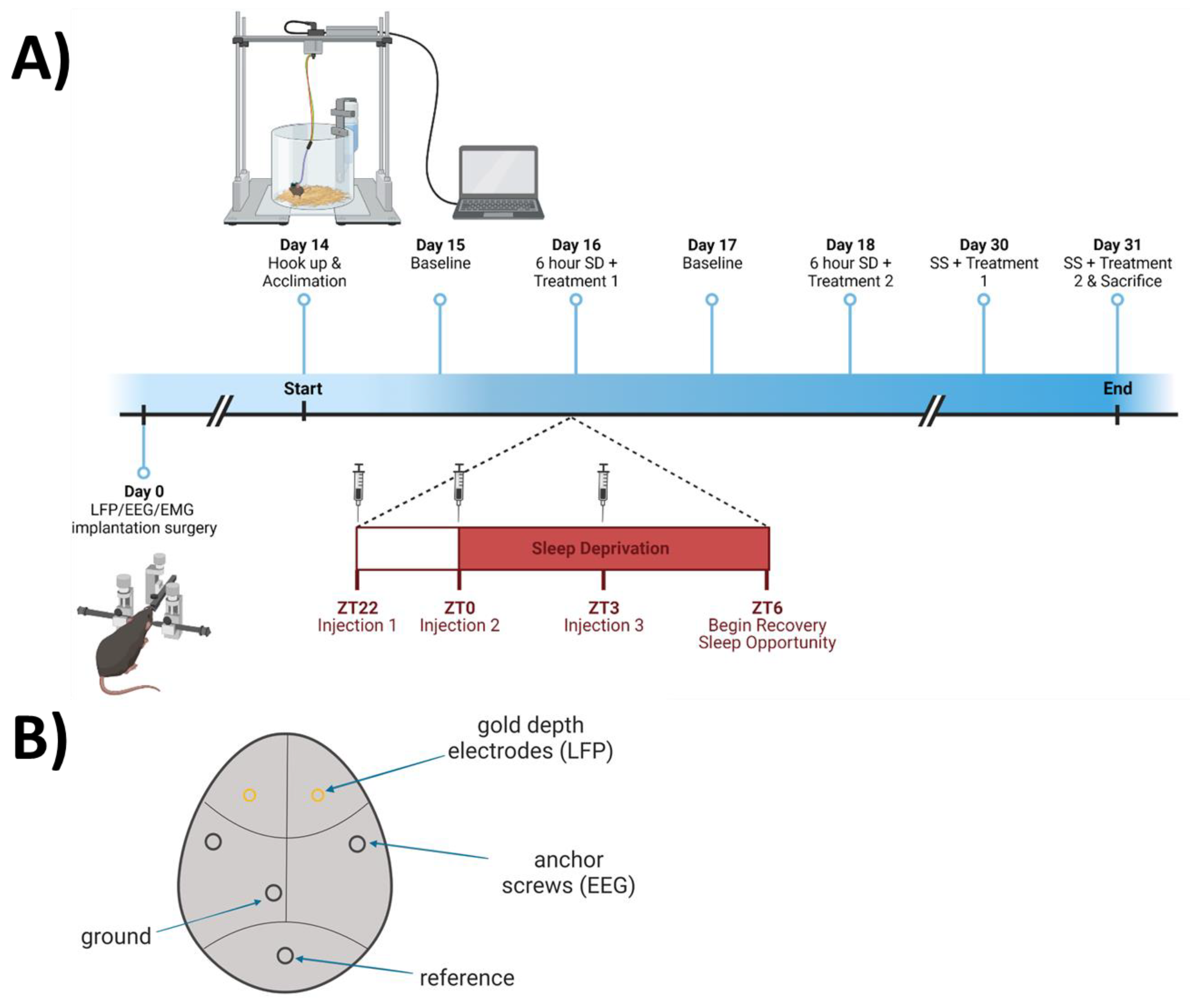 Antioxidants 12 01124 g002