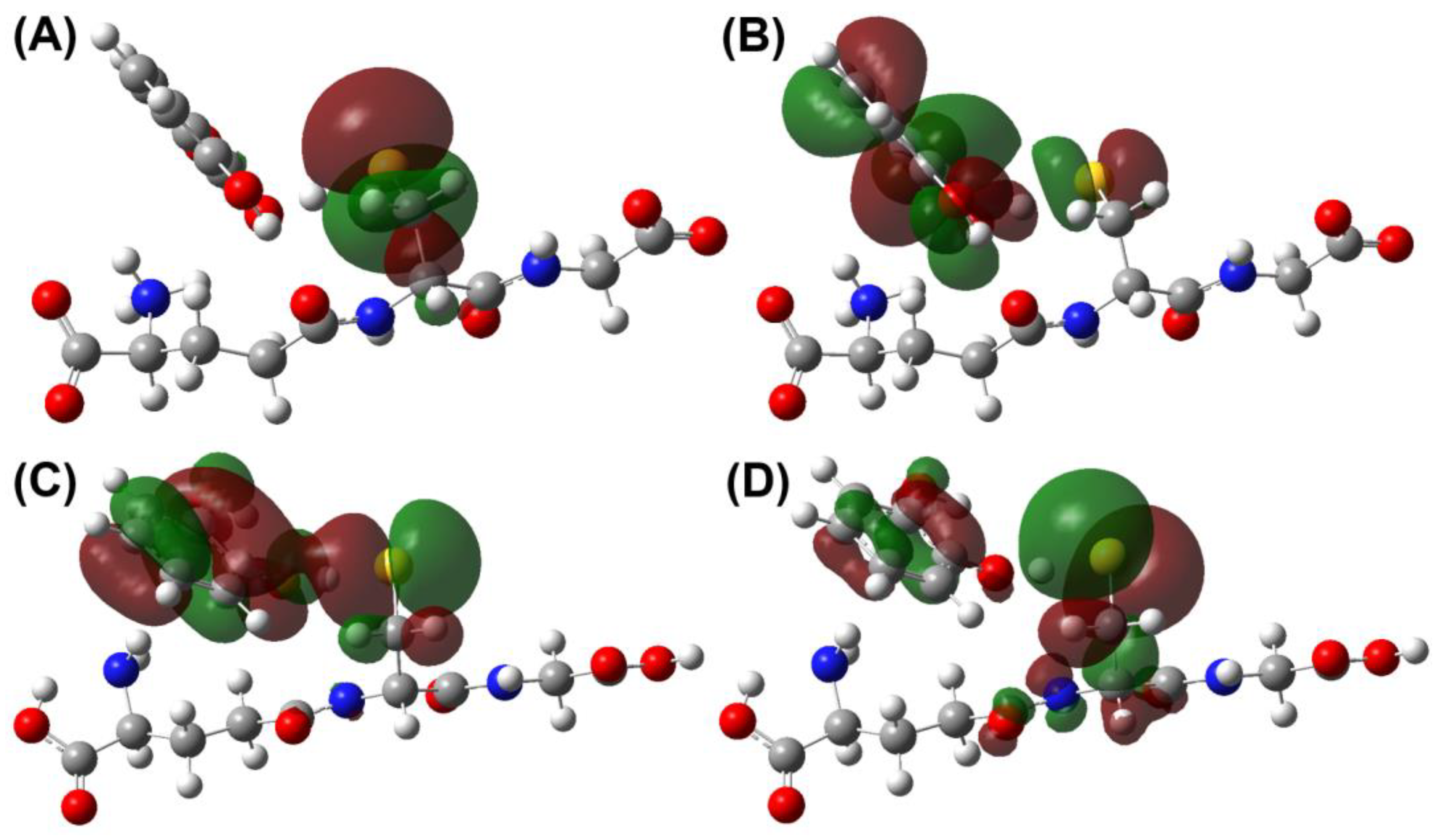 Antioxidants 12 01125 g004 Antioxidants 12 01125 g004