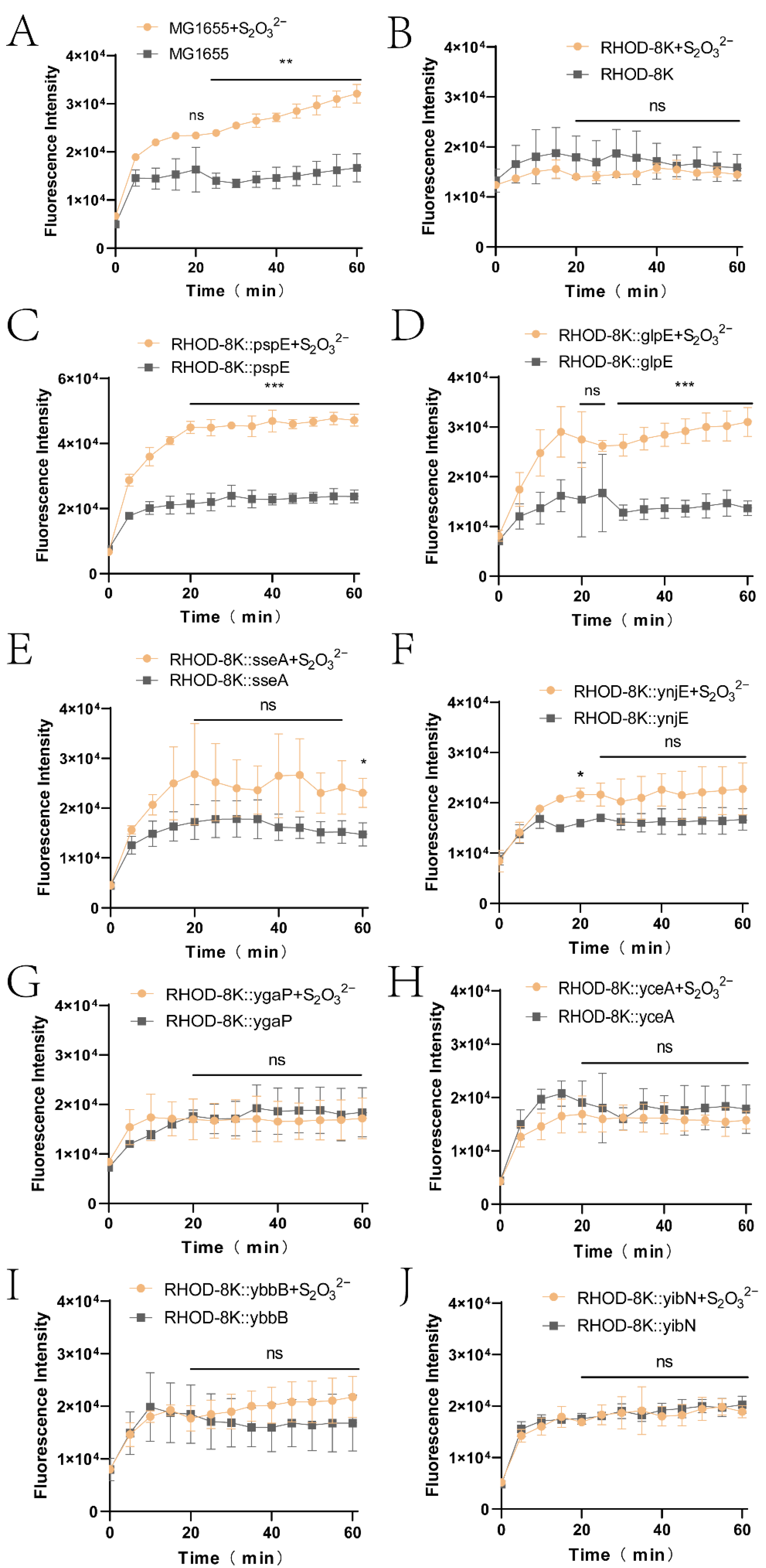 Antioxidants 12 01127 g002