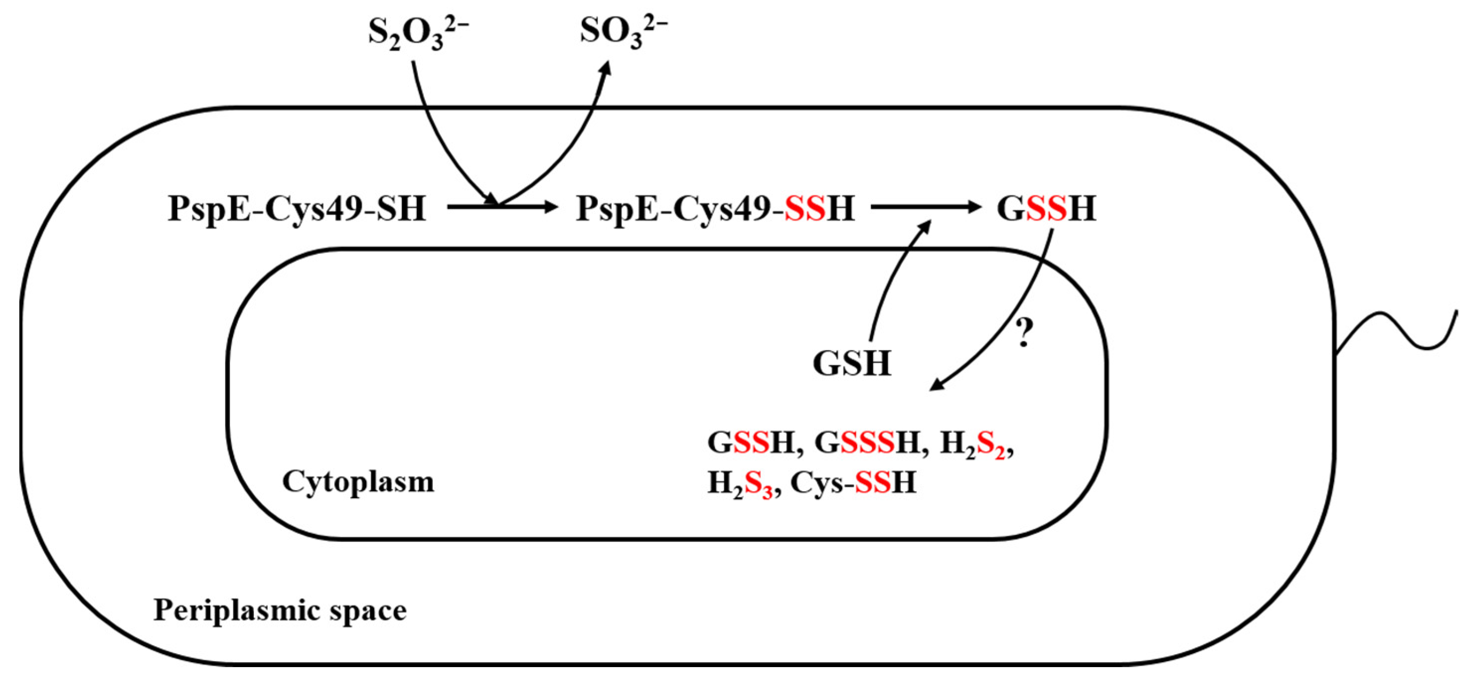 Antioxidants 12 01127 g006