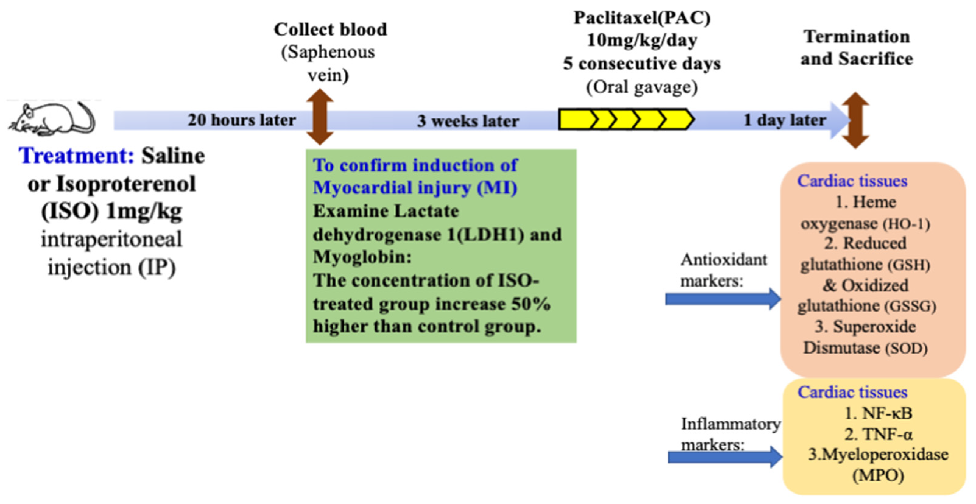 Antioxidants 12 01129 g001