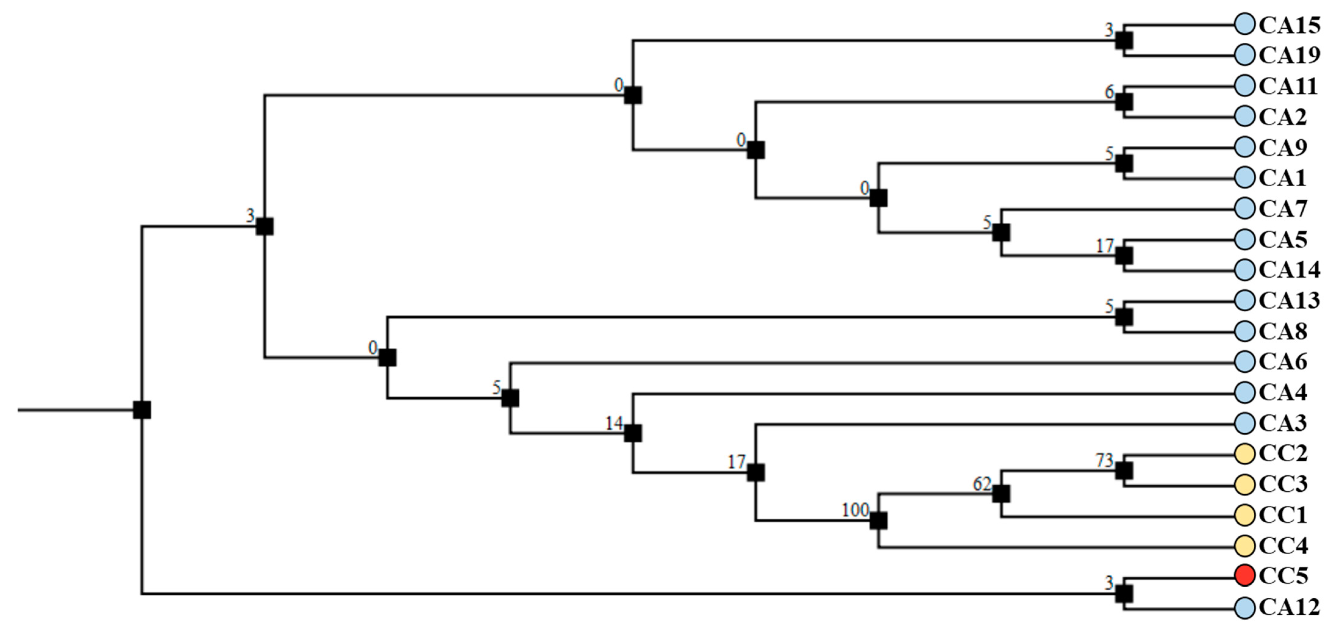Antioxidants 12 01135 g008