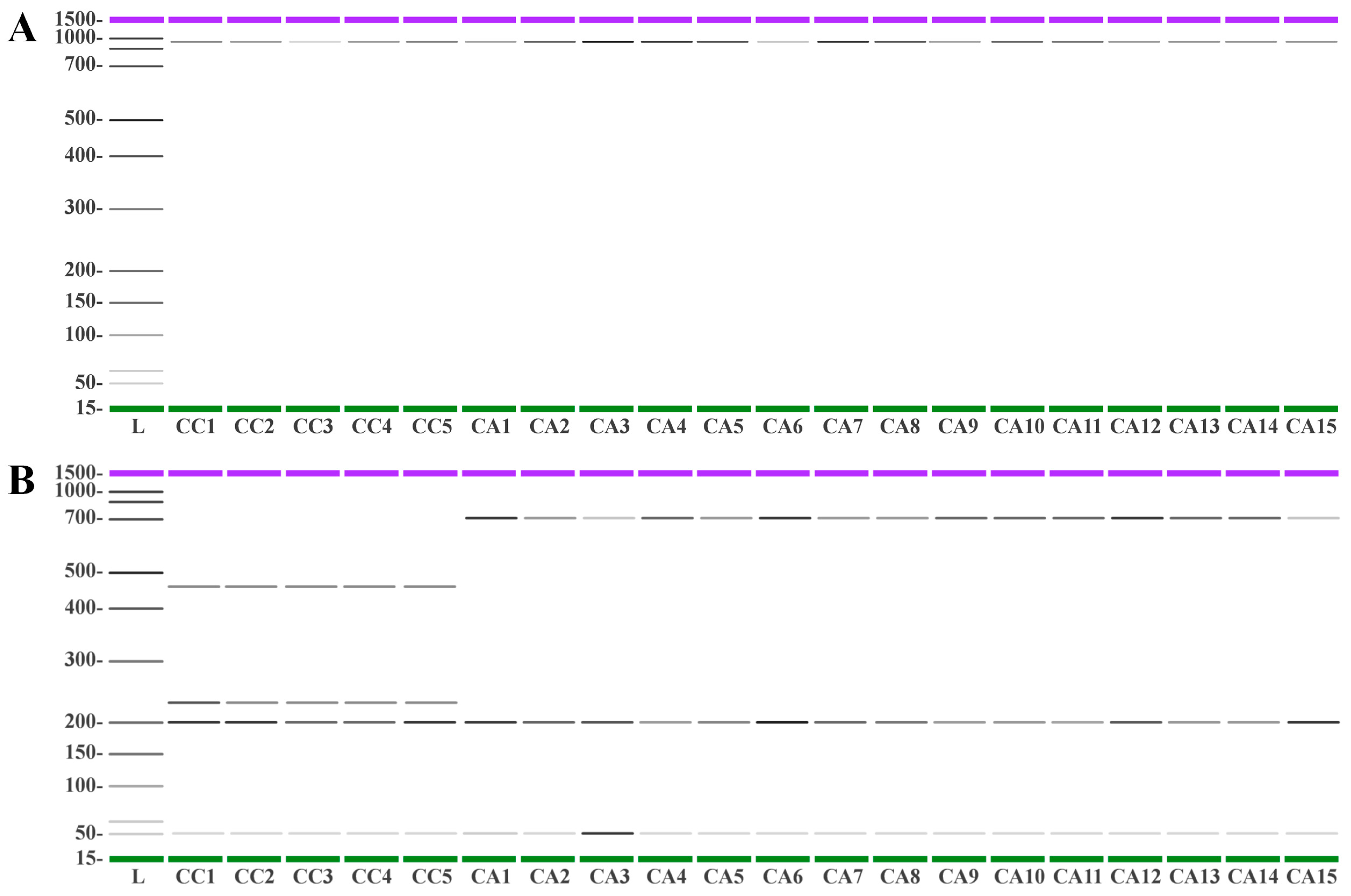 Antioxidants 12 01135 g009