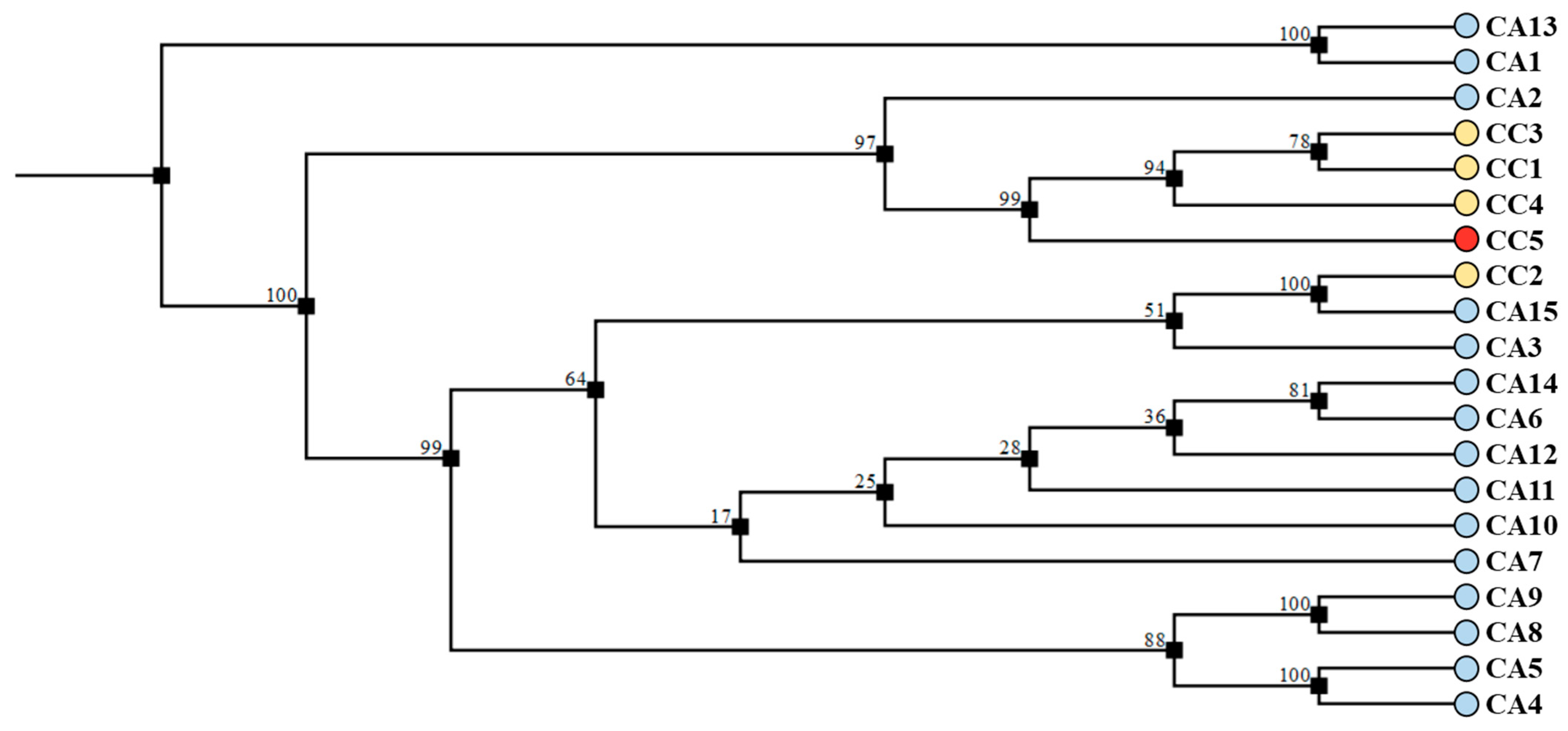 Antioxidants 12 01135 g010