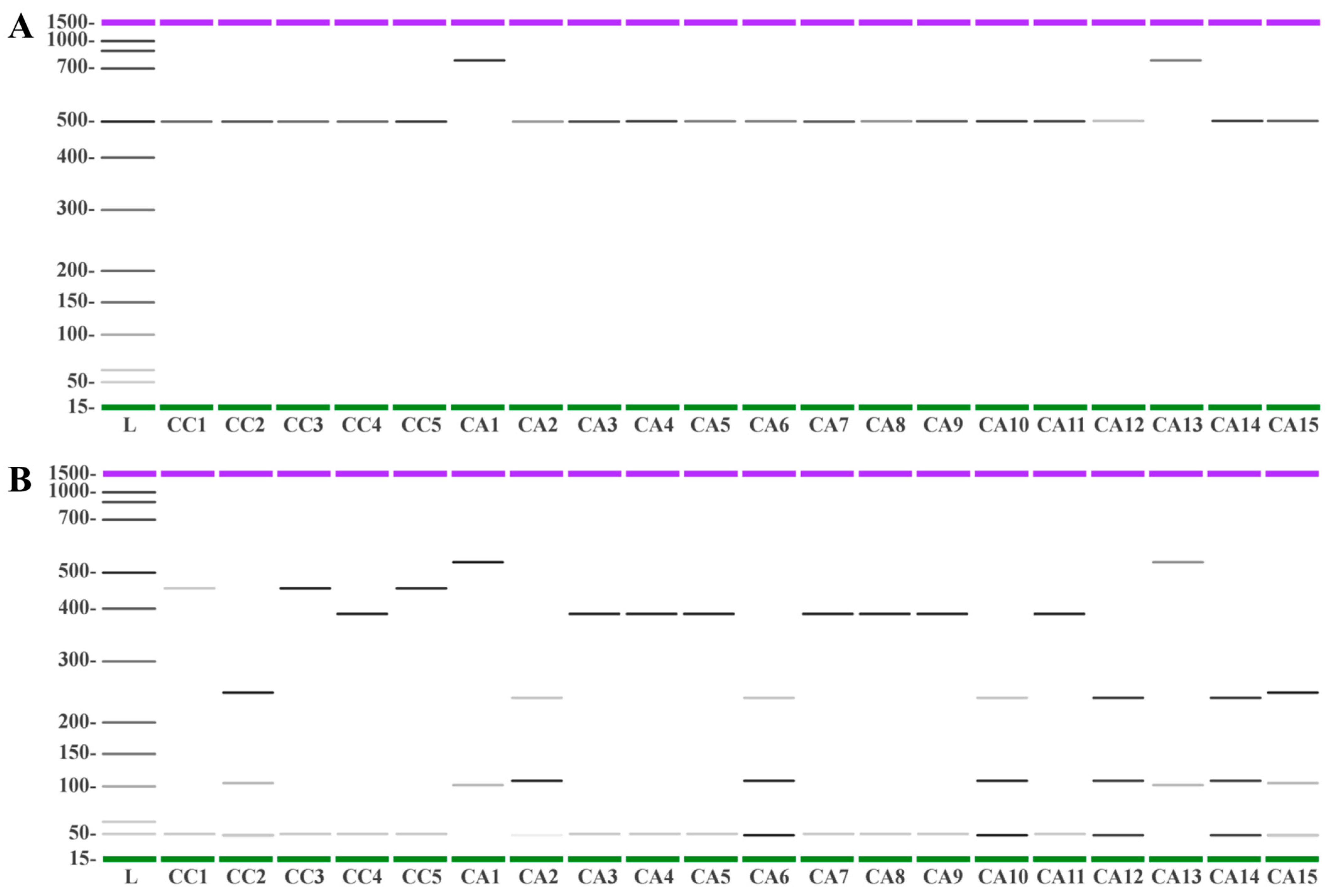 Antioxidants 12 01135 g011