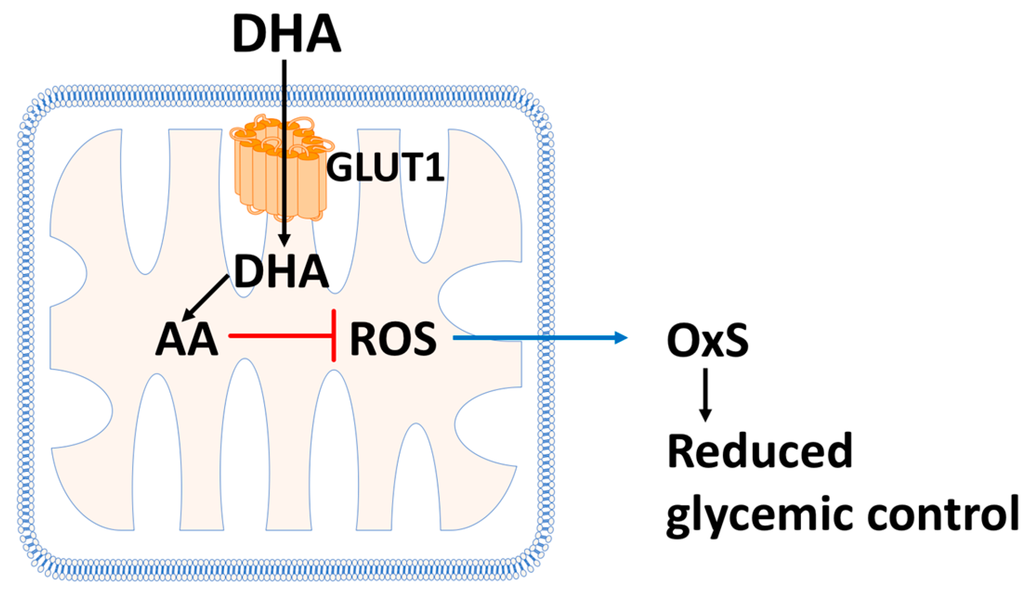 Antioxidants 12 01139 g004