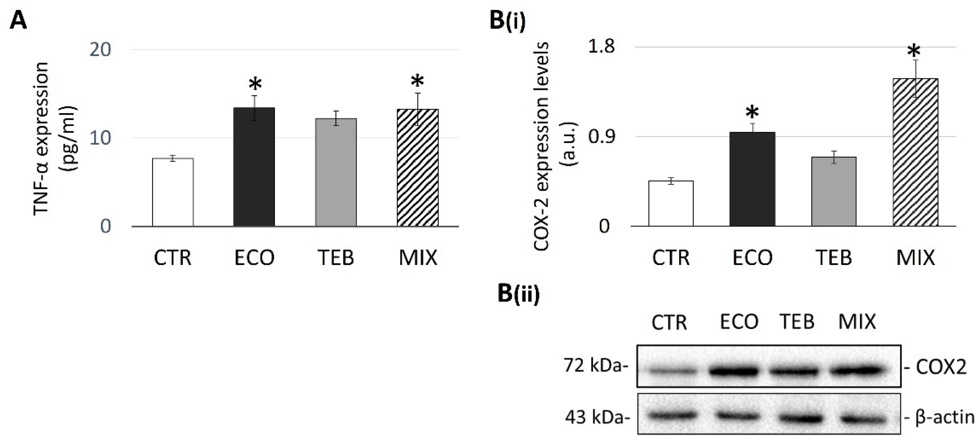 Antioxidants 12 01142 g004