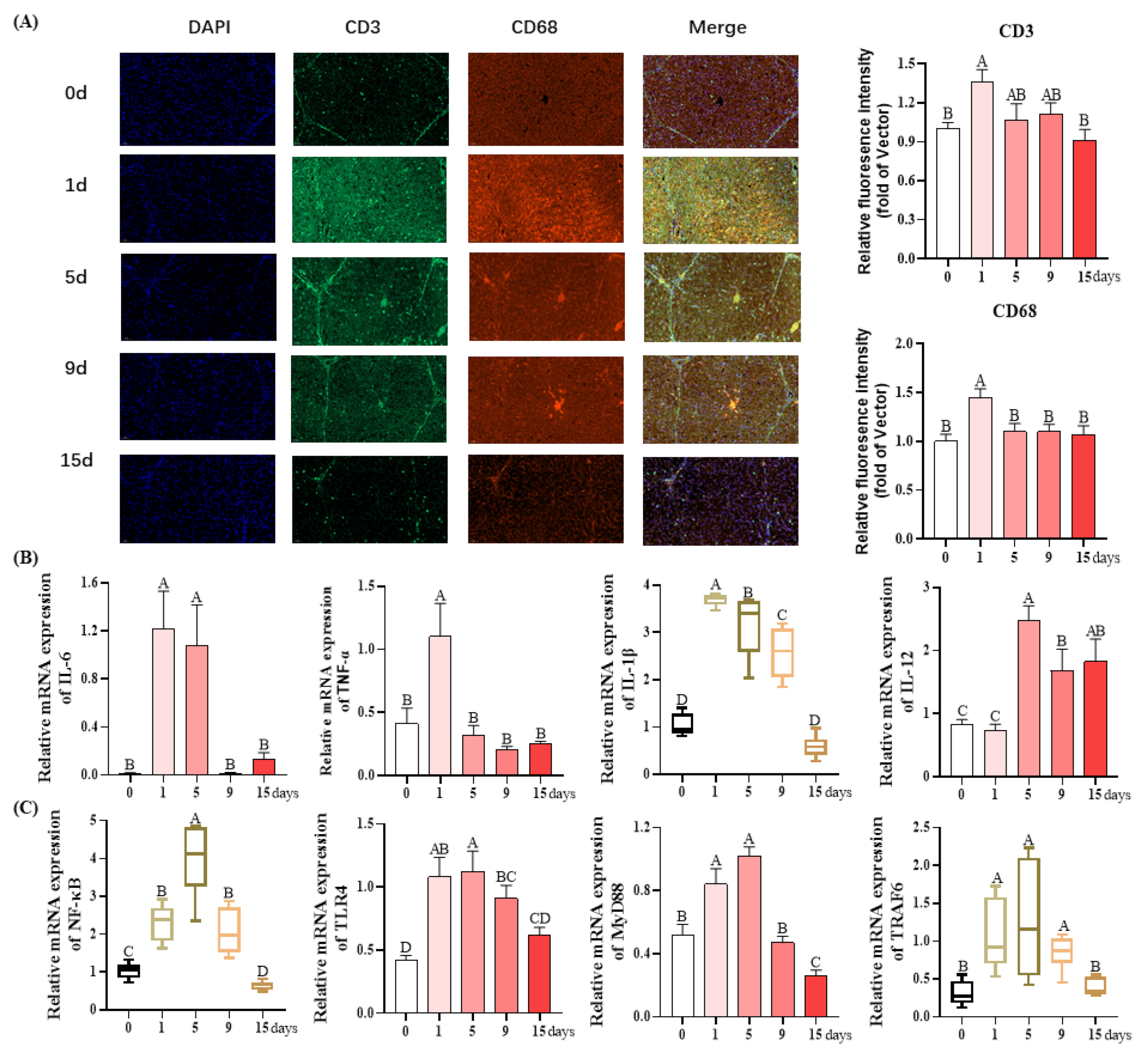 Antioxidants 12 01143 g004