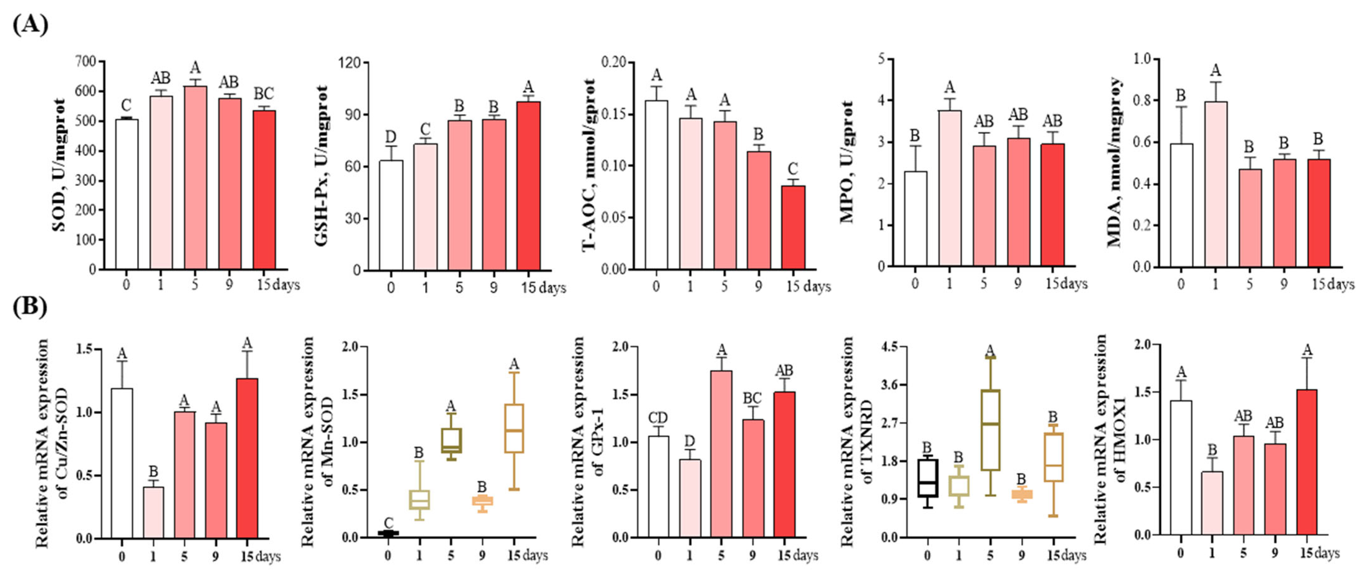 Antioxidants 12 01143 g005
