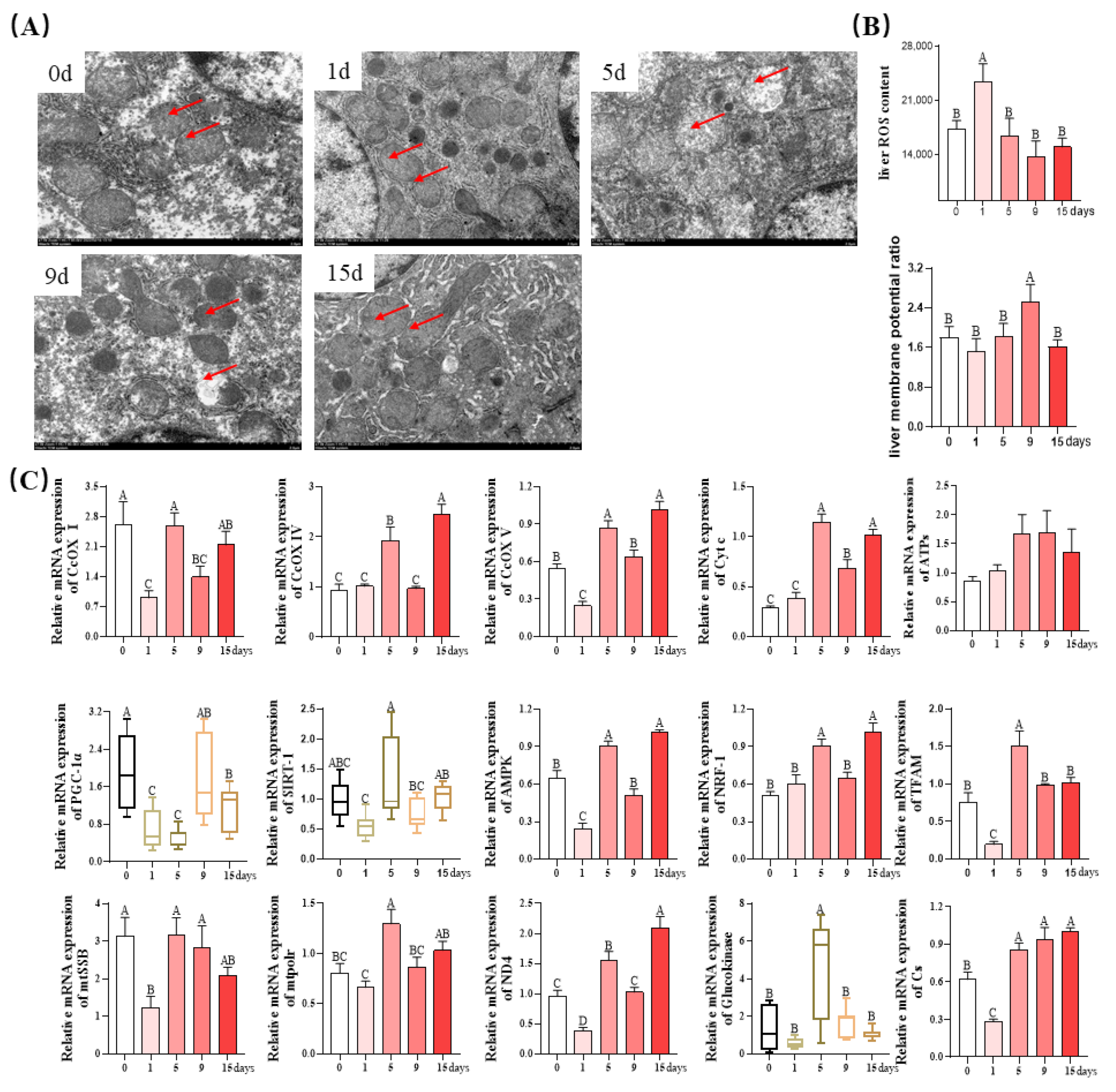 Antioxidants 12 01143 g006