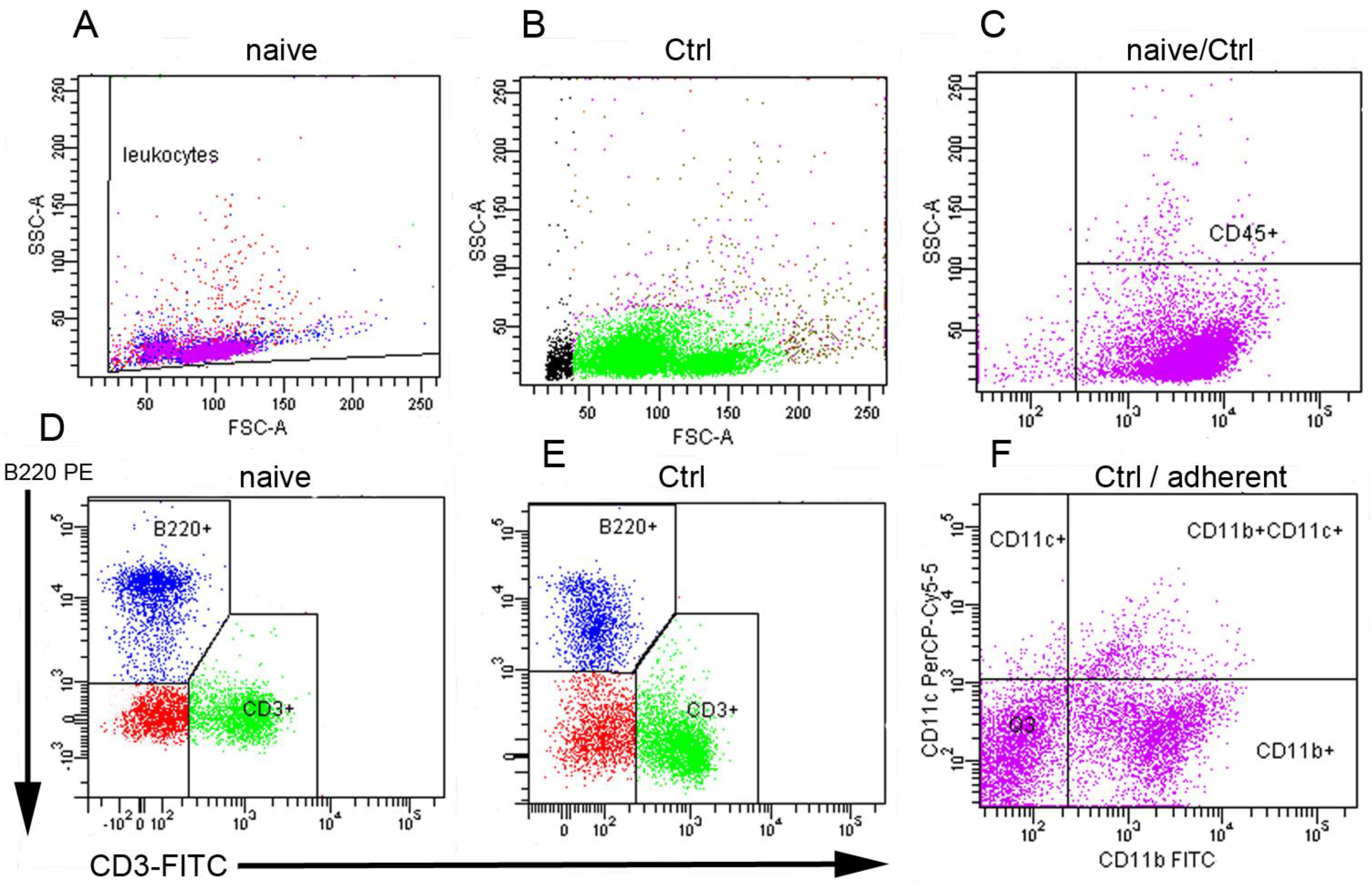 Antioxidants 12 01144 g003