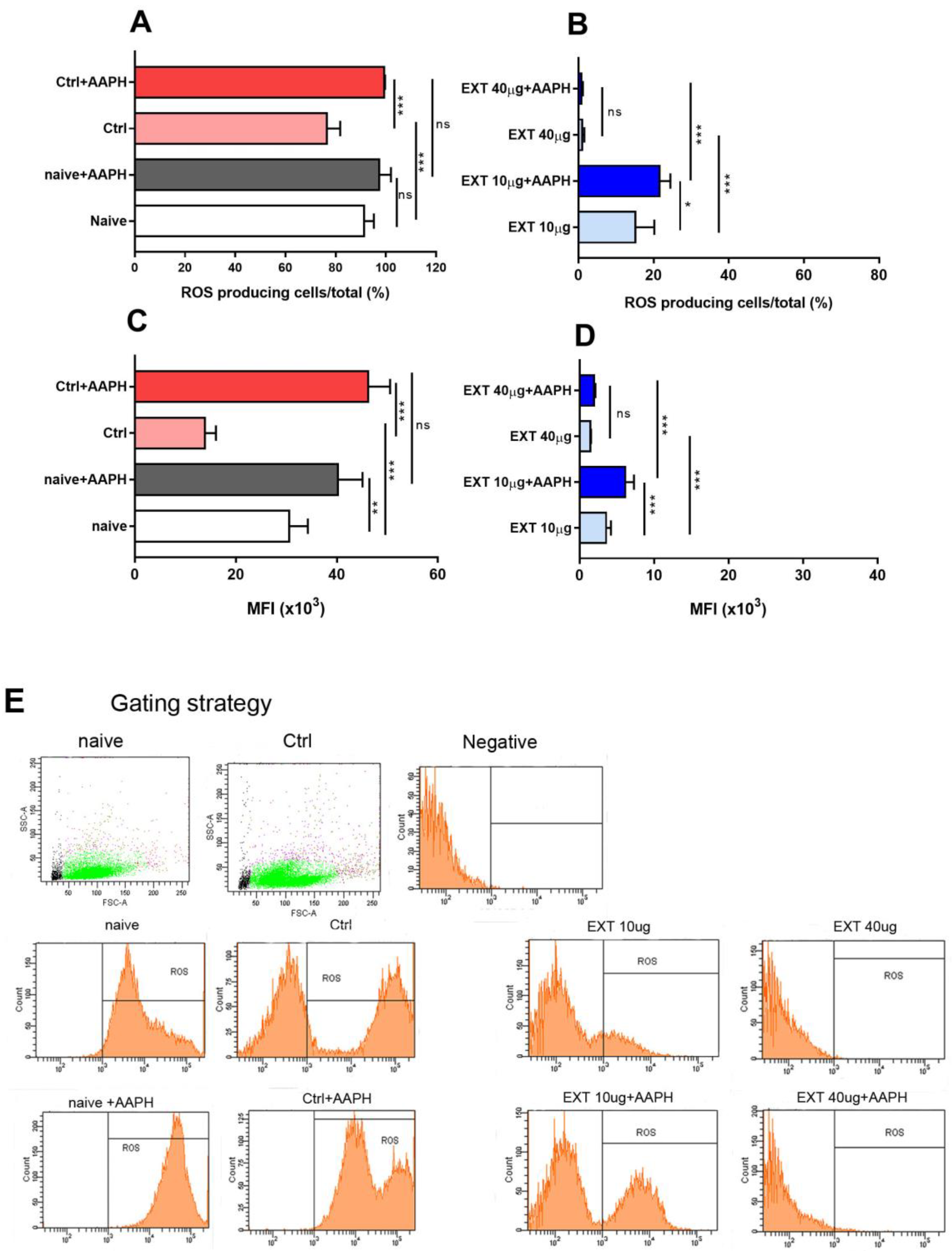 Antioxidants 12 01144 g005