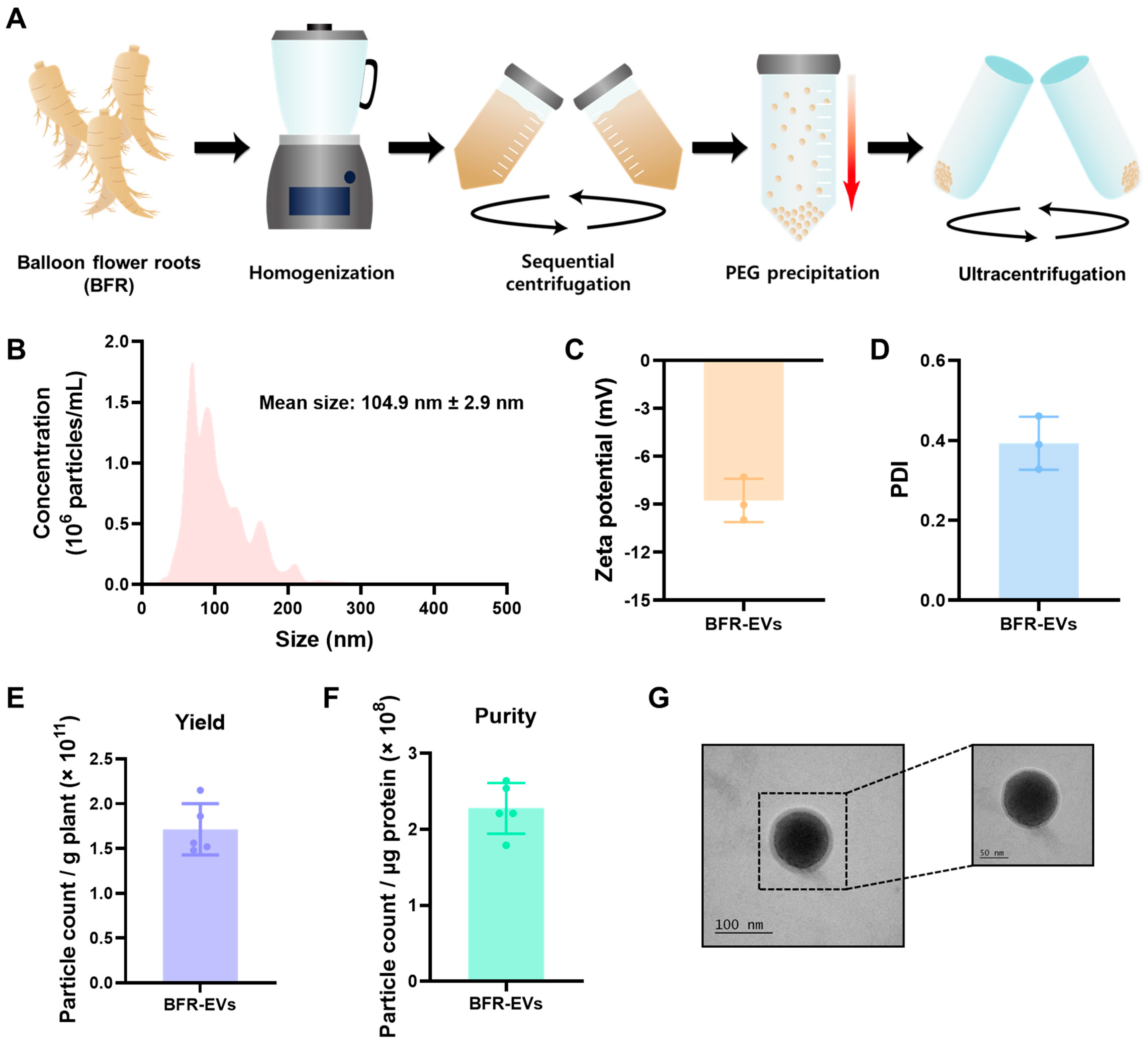 Antioxidants 12 01146 g001