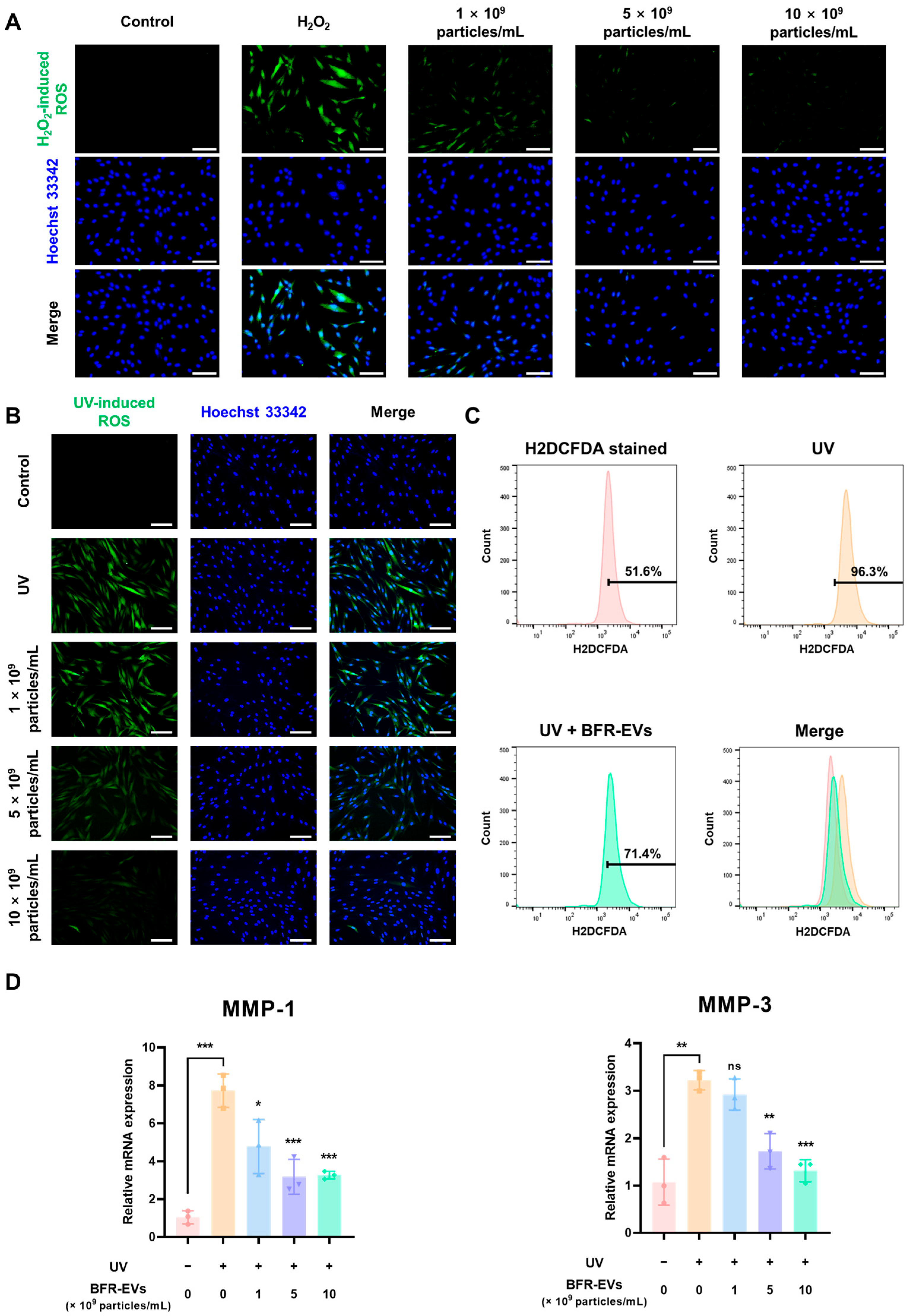 Antioxidants 12 01146 g005