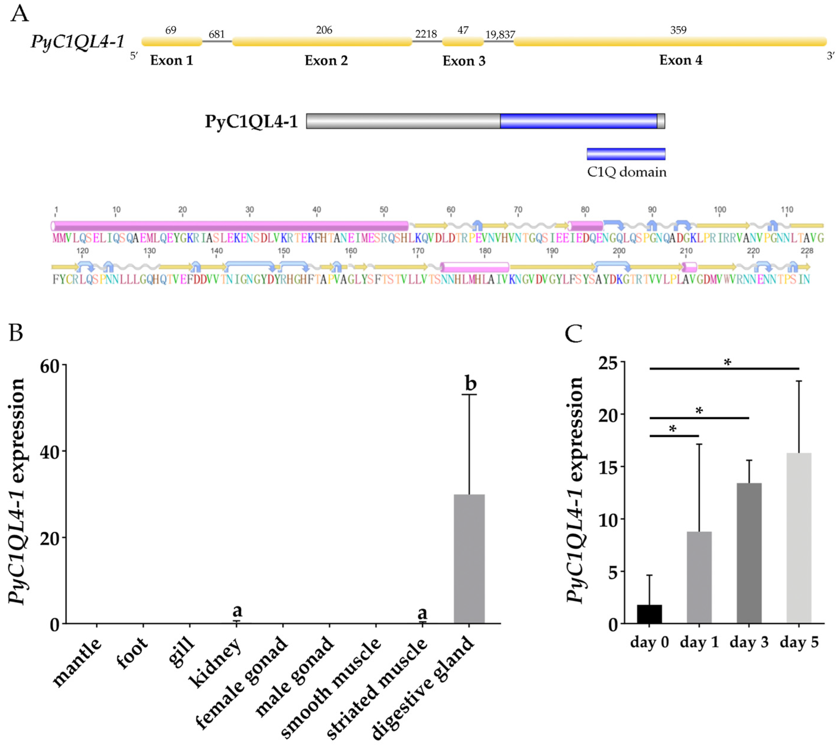 Antioxidants 12 01150 g005