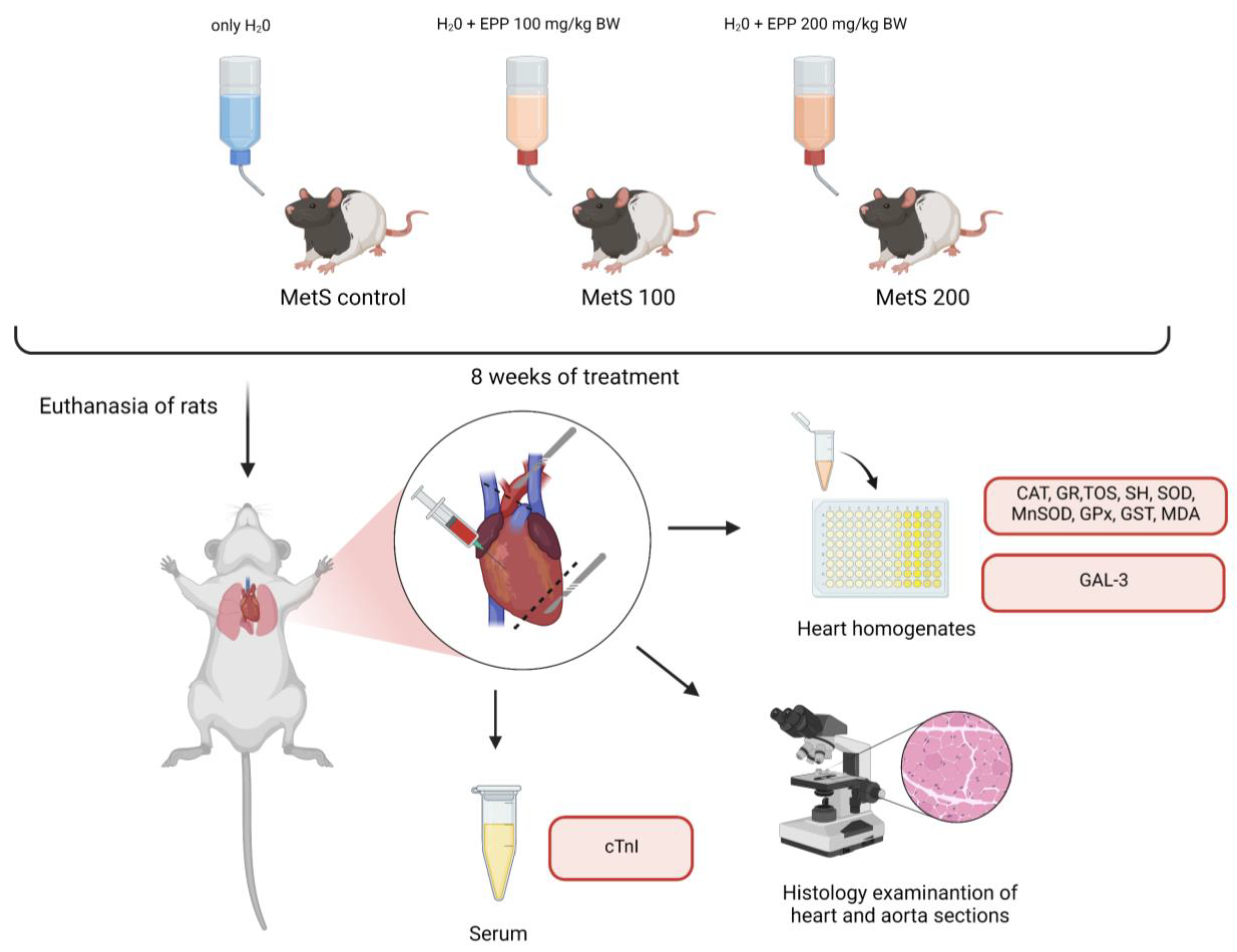 Antioxidants 12 01152 g001